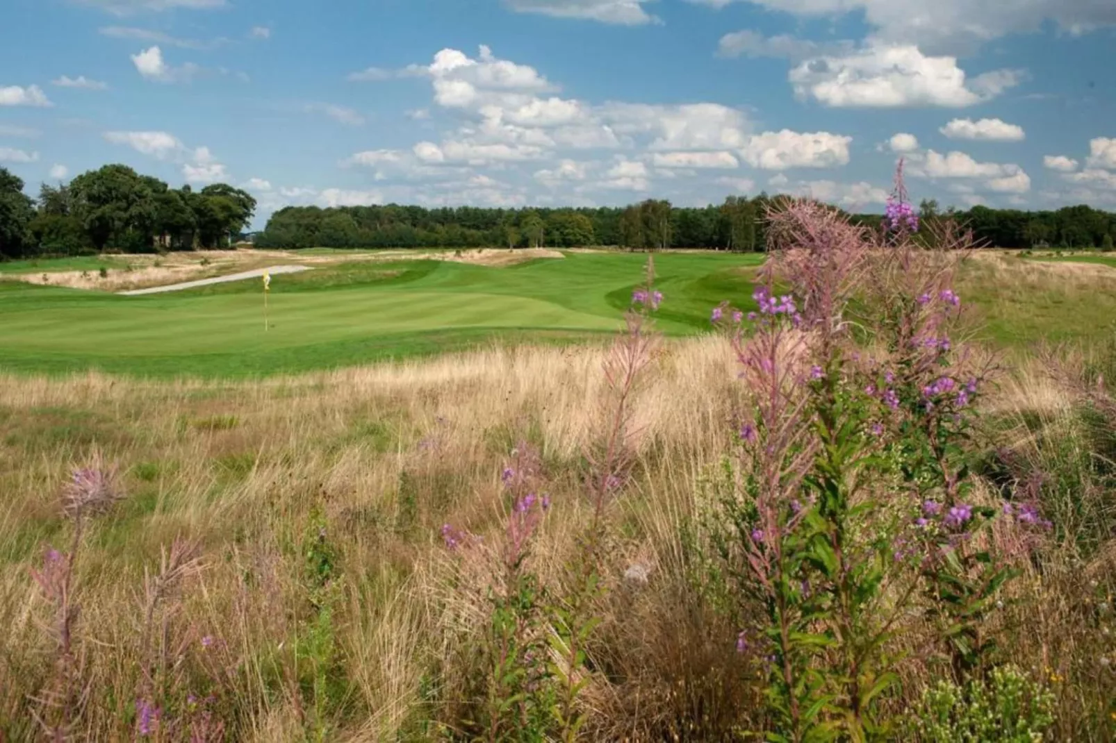 Vakantiepark de Katjeskelder 19-Areas within 5km in summer