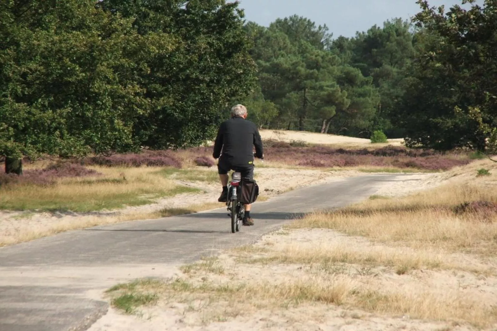 Recreatiepark Duinhoeve 12-Gebiete Sommer 20 km