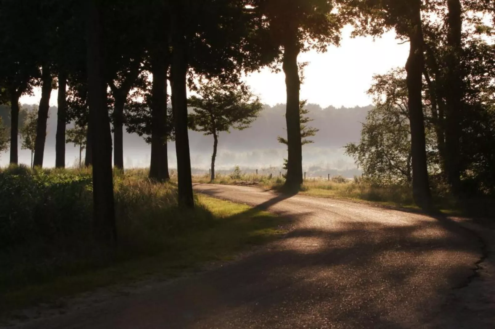 Bospark 't Wolfsven 8-Areas within 5km in summer