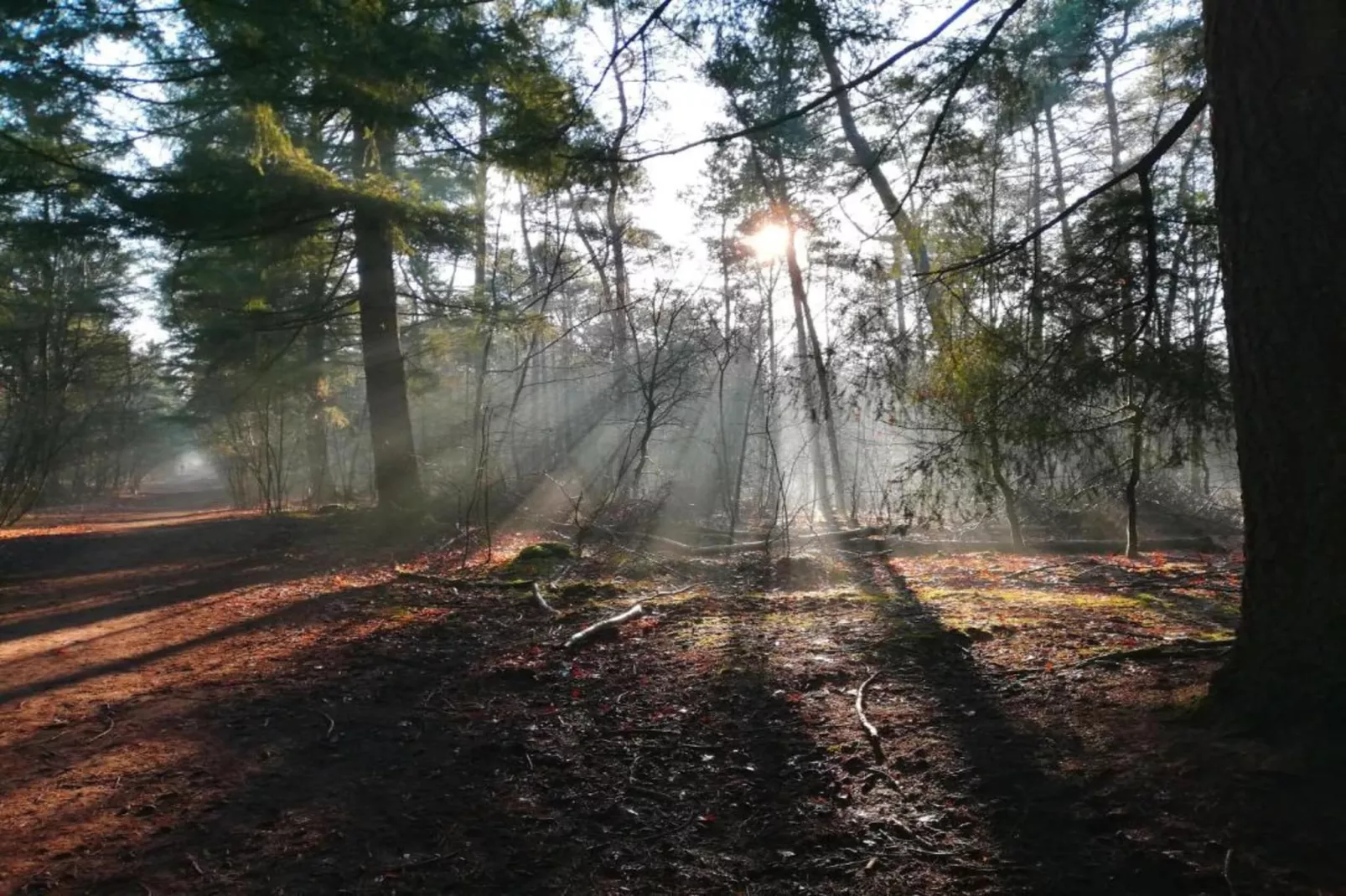 Bospark 't Wolfsven 15-Zones été à 5 km