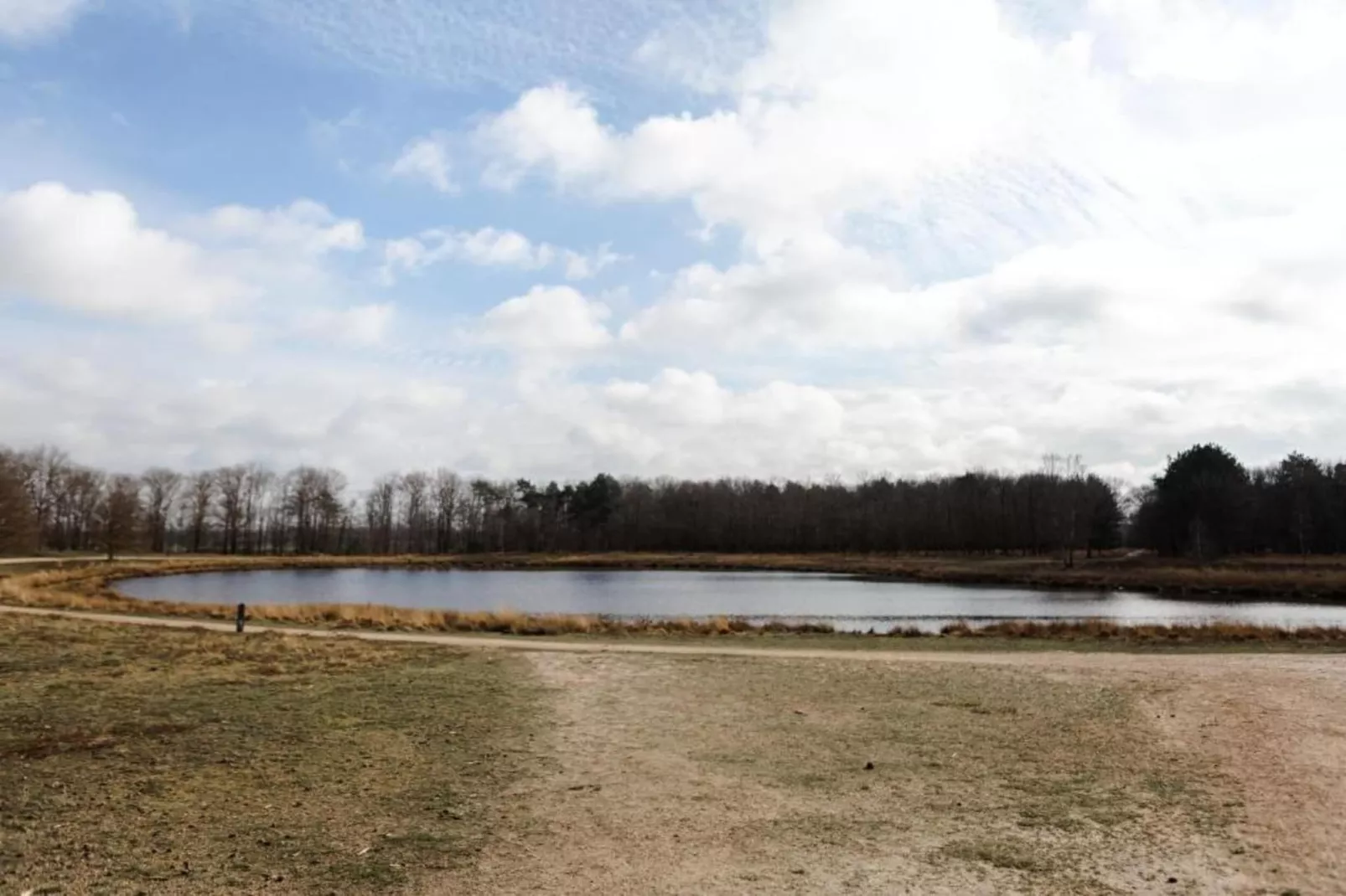 Bospark 't Wolfsven 18-Gebiete Sommer 5 km