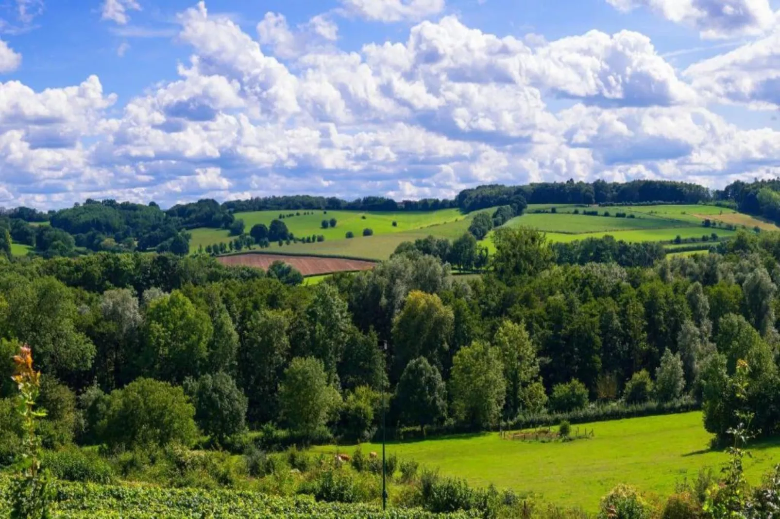 Dorpswoning Het Uitzicht-Areas within 20km in summer