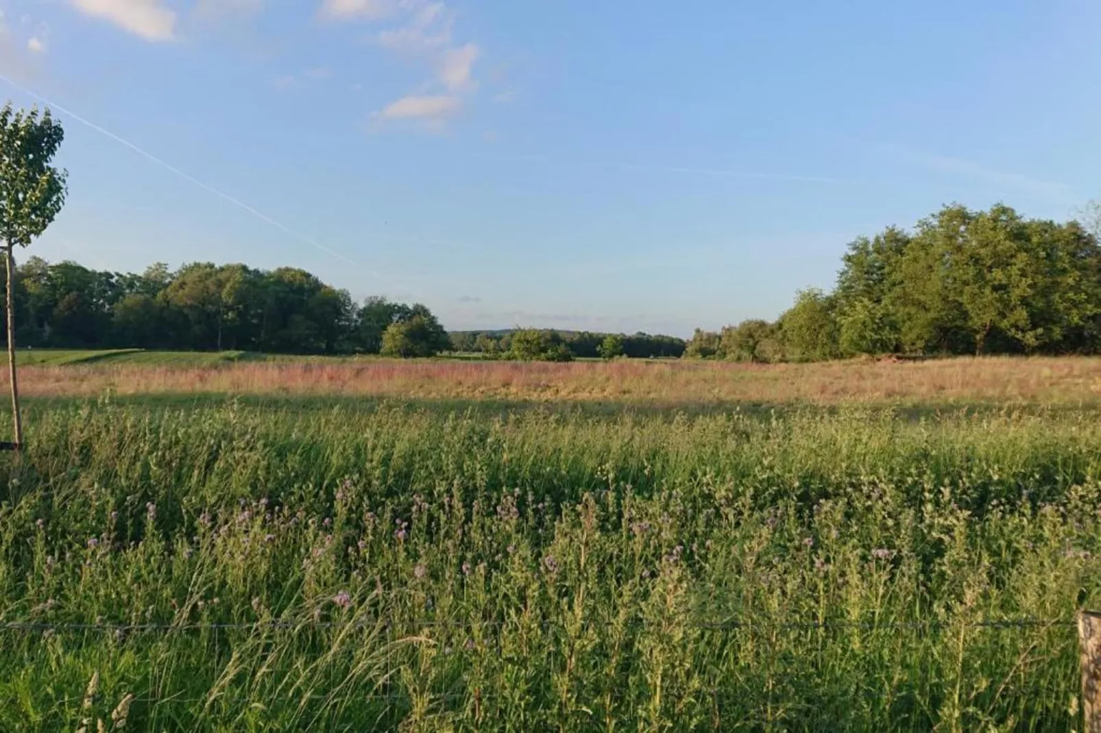 De Riethorst 1-Areas within 20km in summer