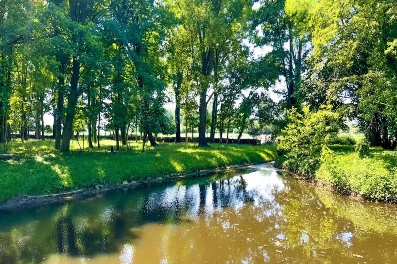 Houck-Areas within 20km in summer