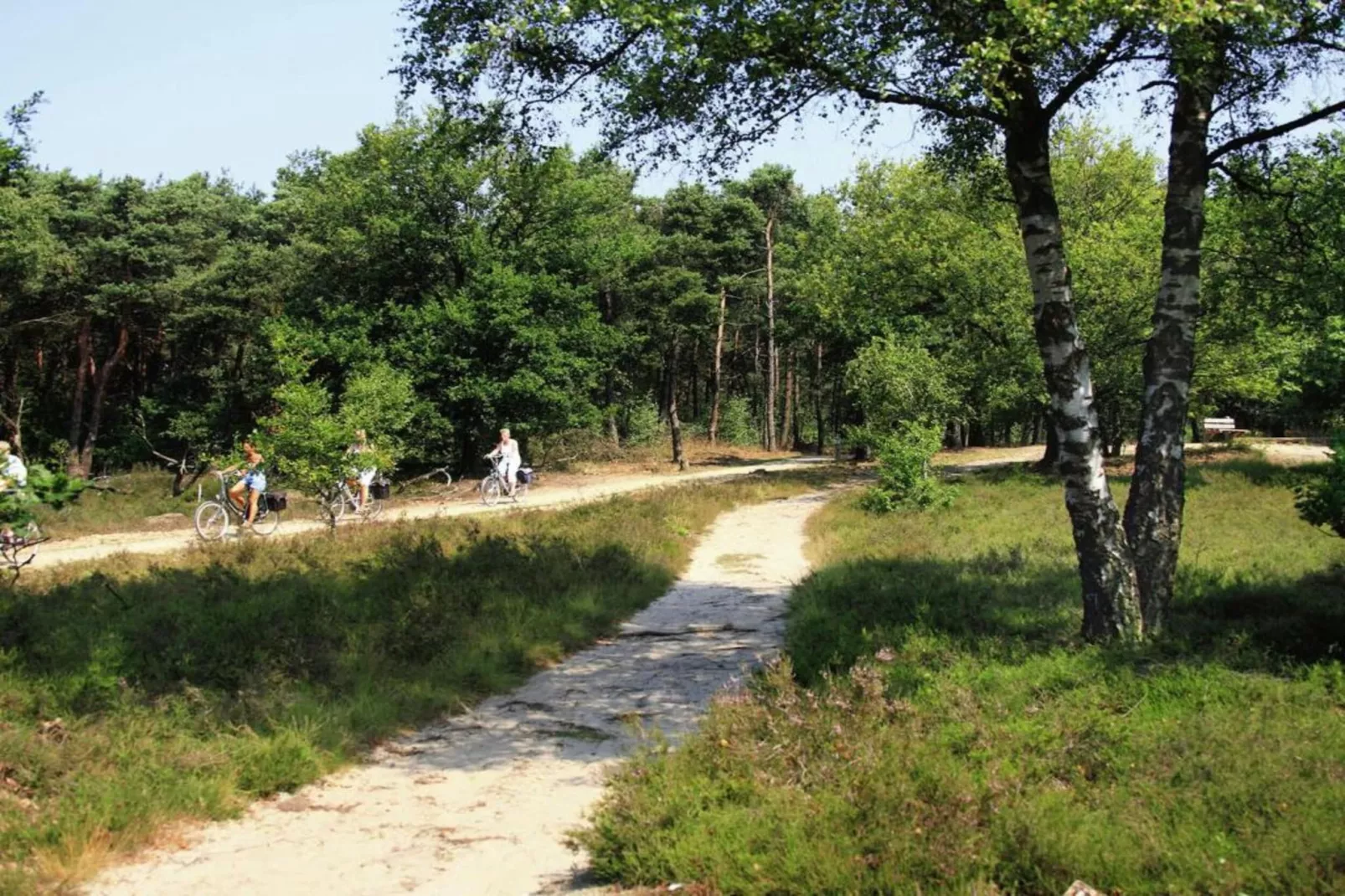 't Kokhuus-Areas within 20km in summer