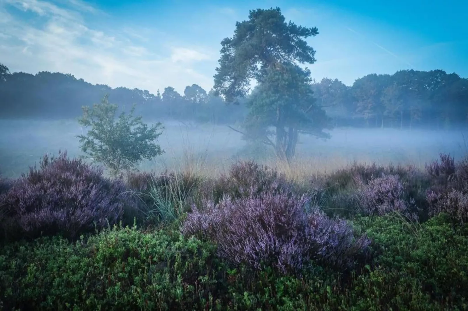 Buitenplaats Holten 8-Areas within 5km in summer