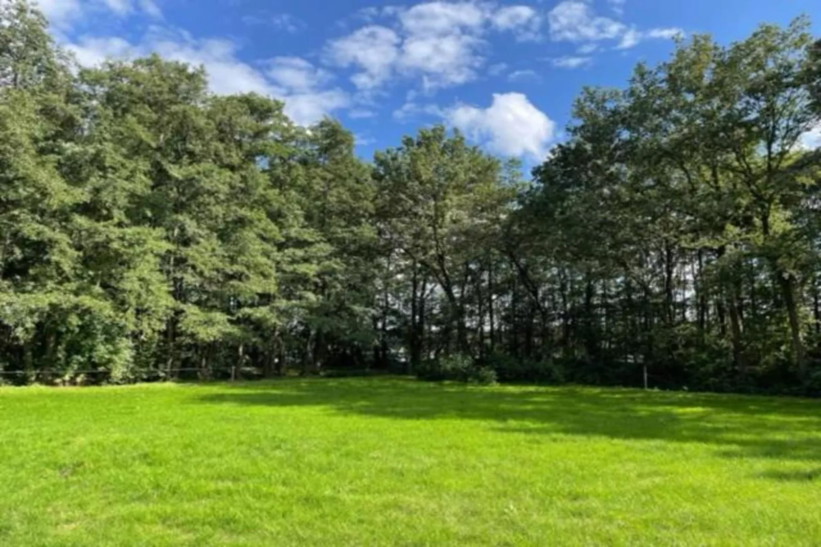 Vakantiecentrum 't Schuttenbelt 4-Gebiete Sommer 20 km