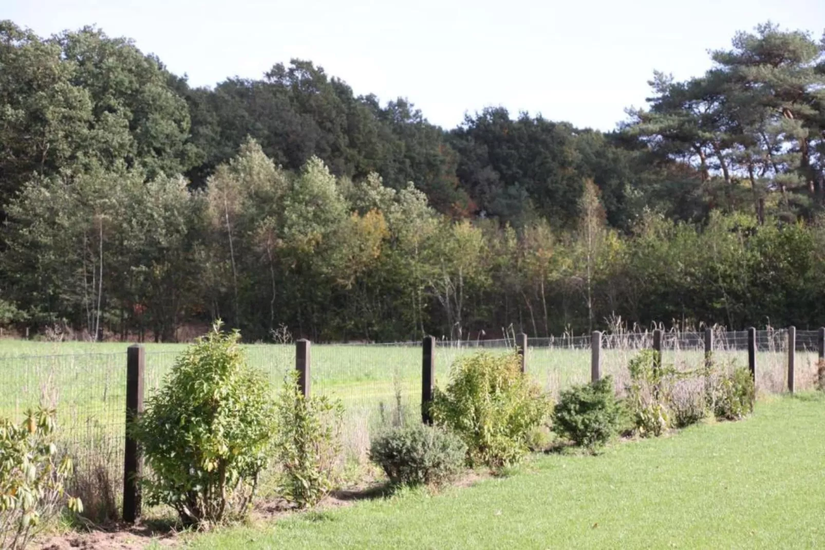 De ouwe diepvries-Areas within 20km in summer