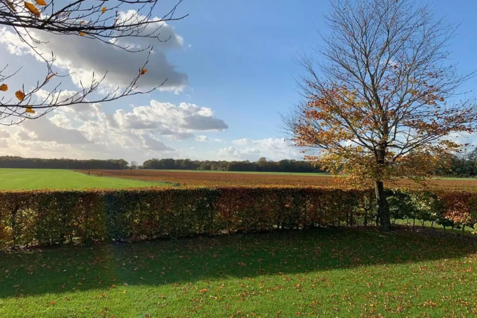 Recreatiepark Tolplas 17-Areas within 5km in summer