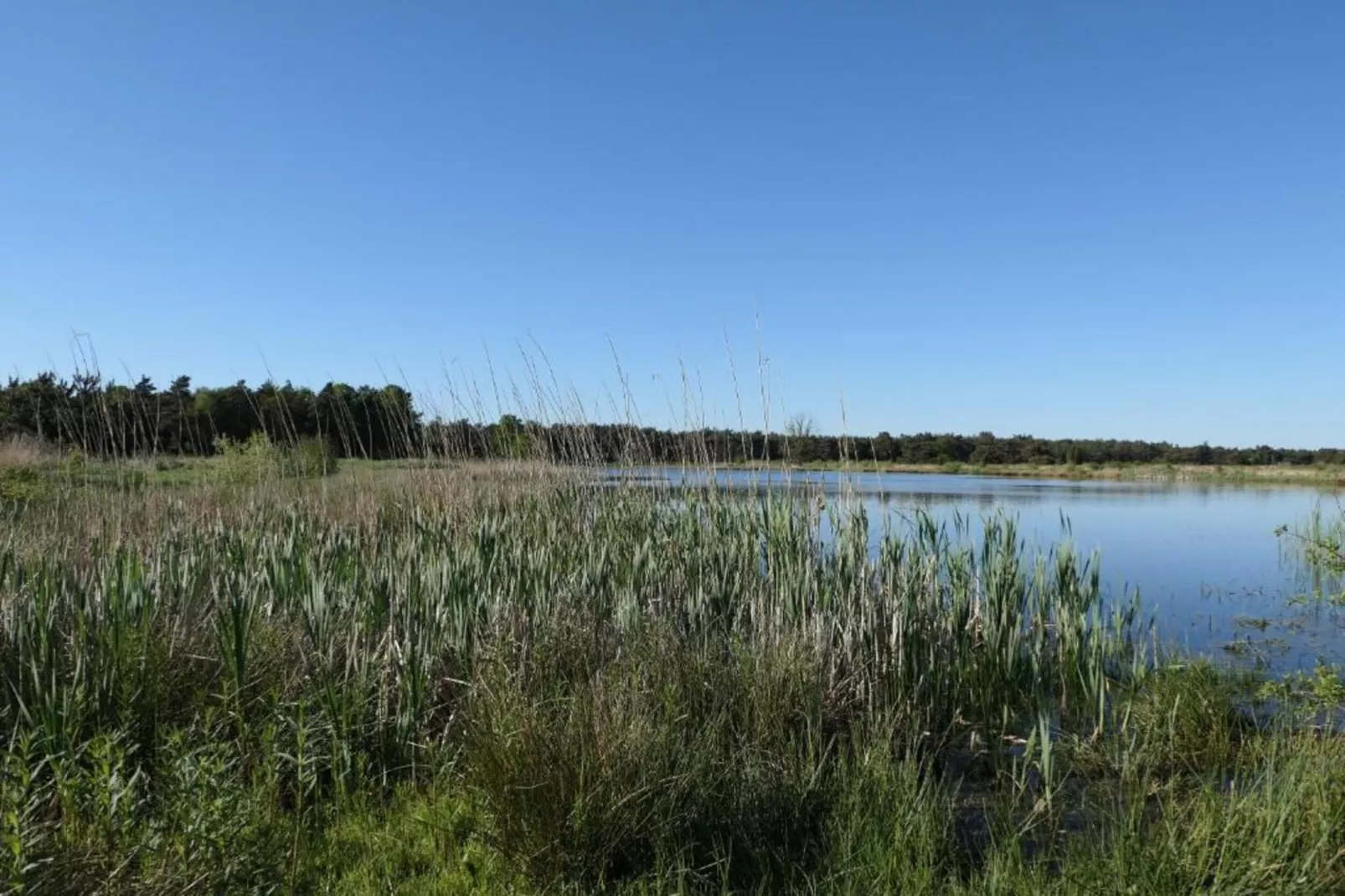 Recreatiepark Tolplas 18-Areas within 5km in summer