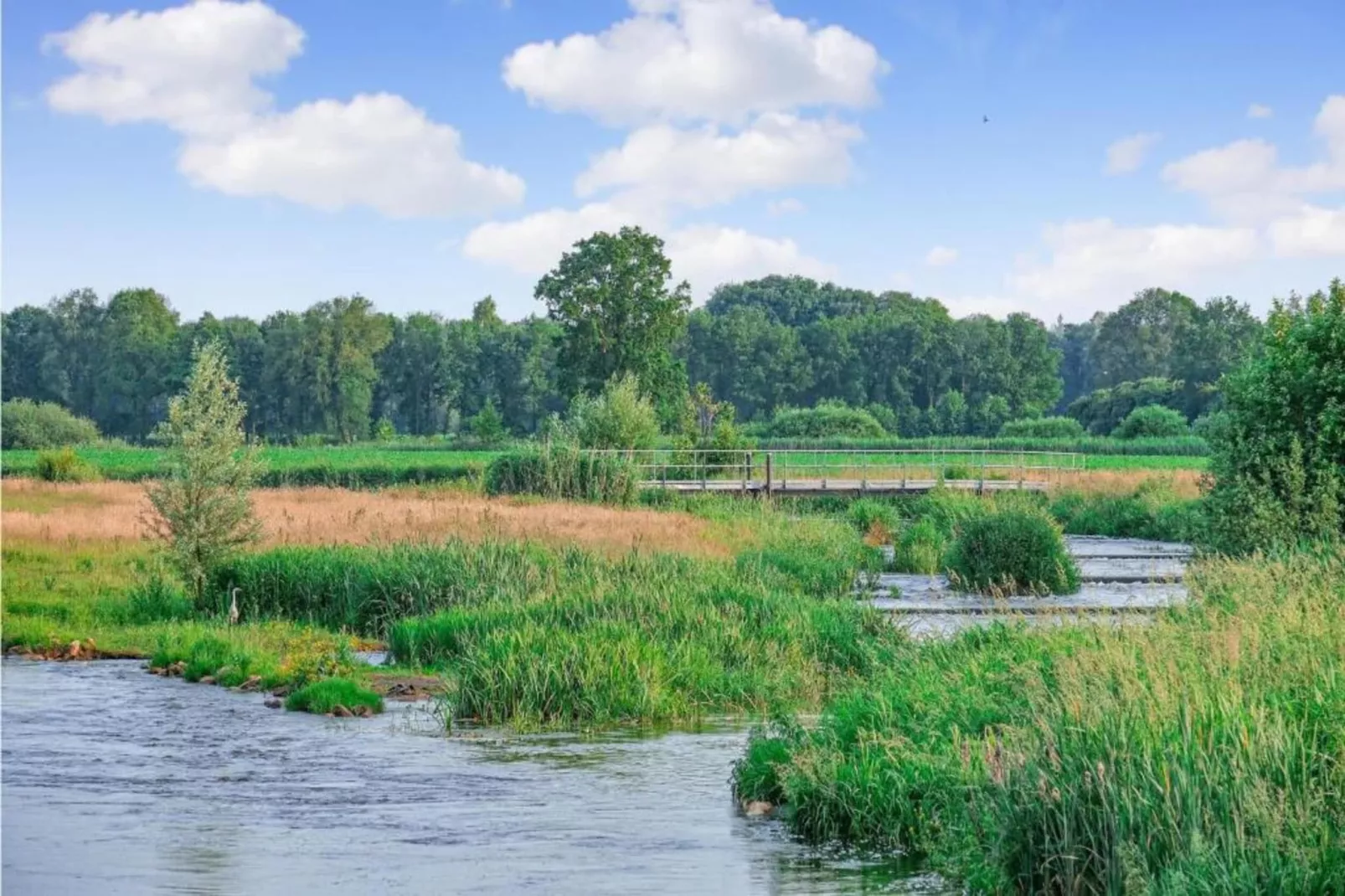Bunderbos-Areas within 20km in summer