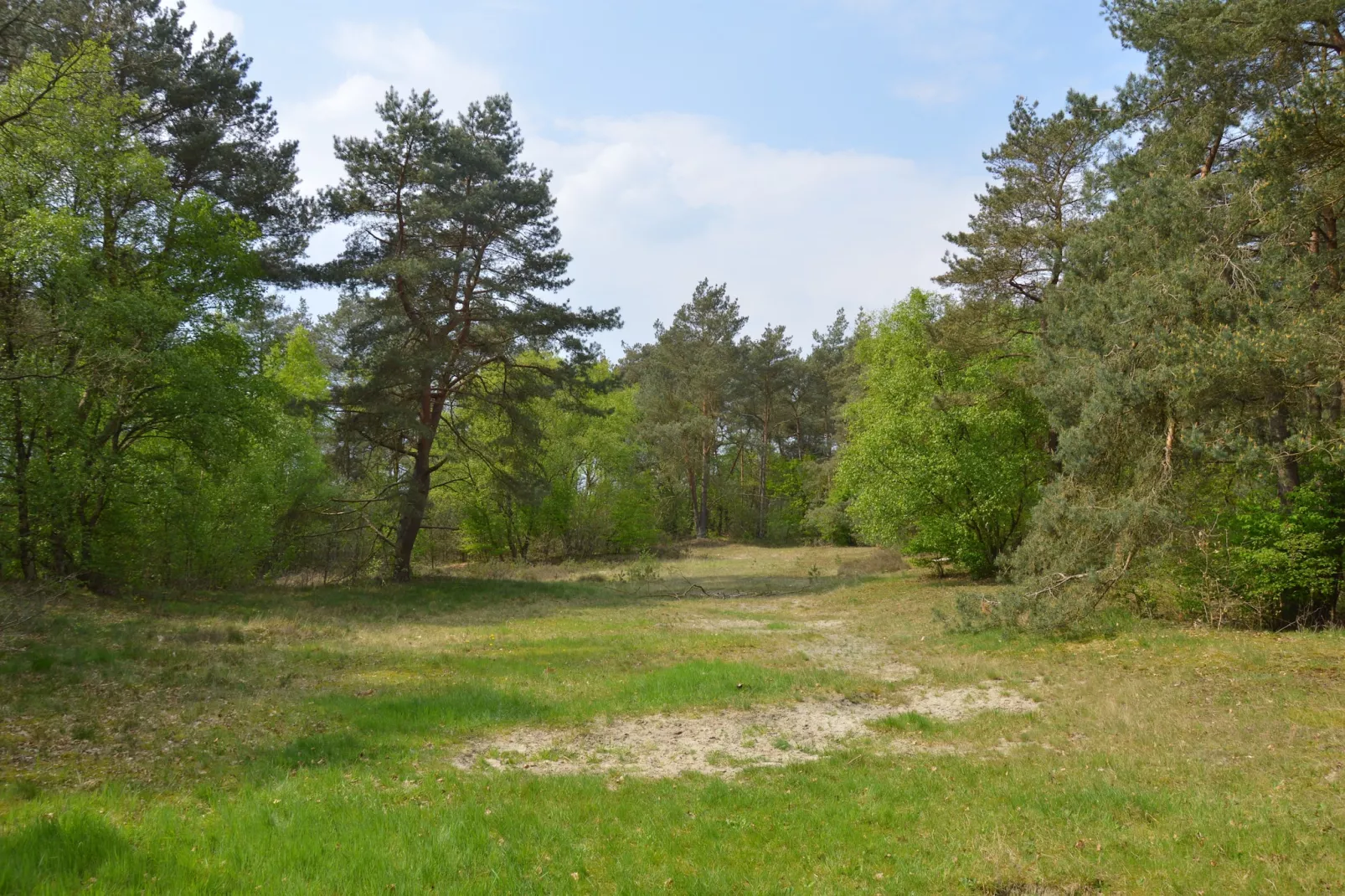 Dapama-View in summer