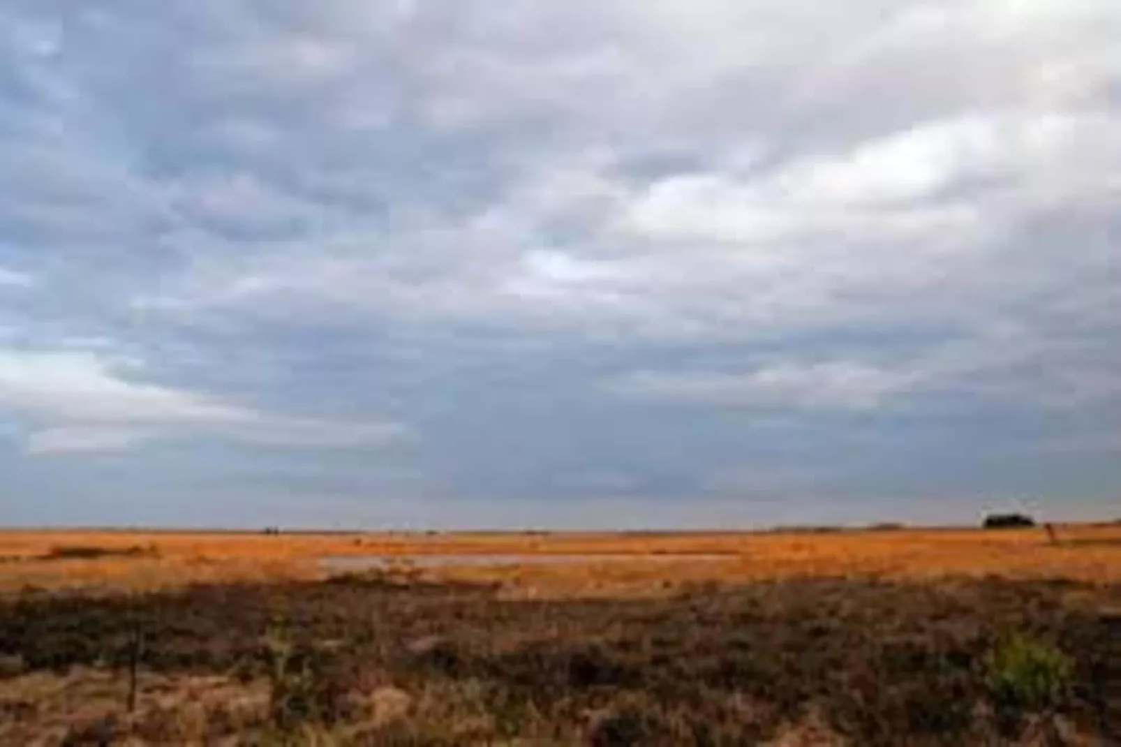 RCN Vakantiepark de Noordster 4-Gebiete Sommer 20 km