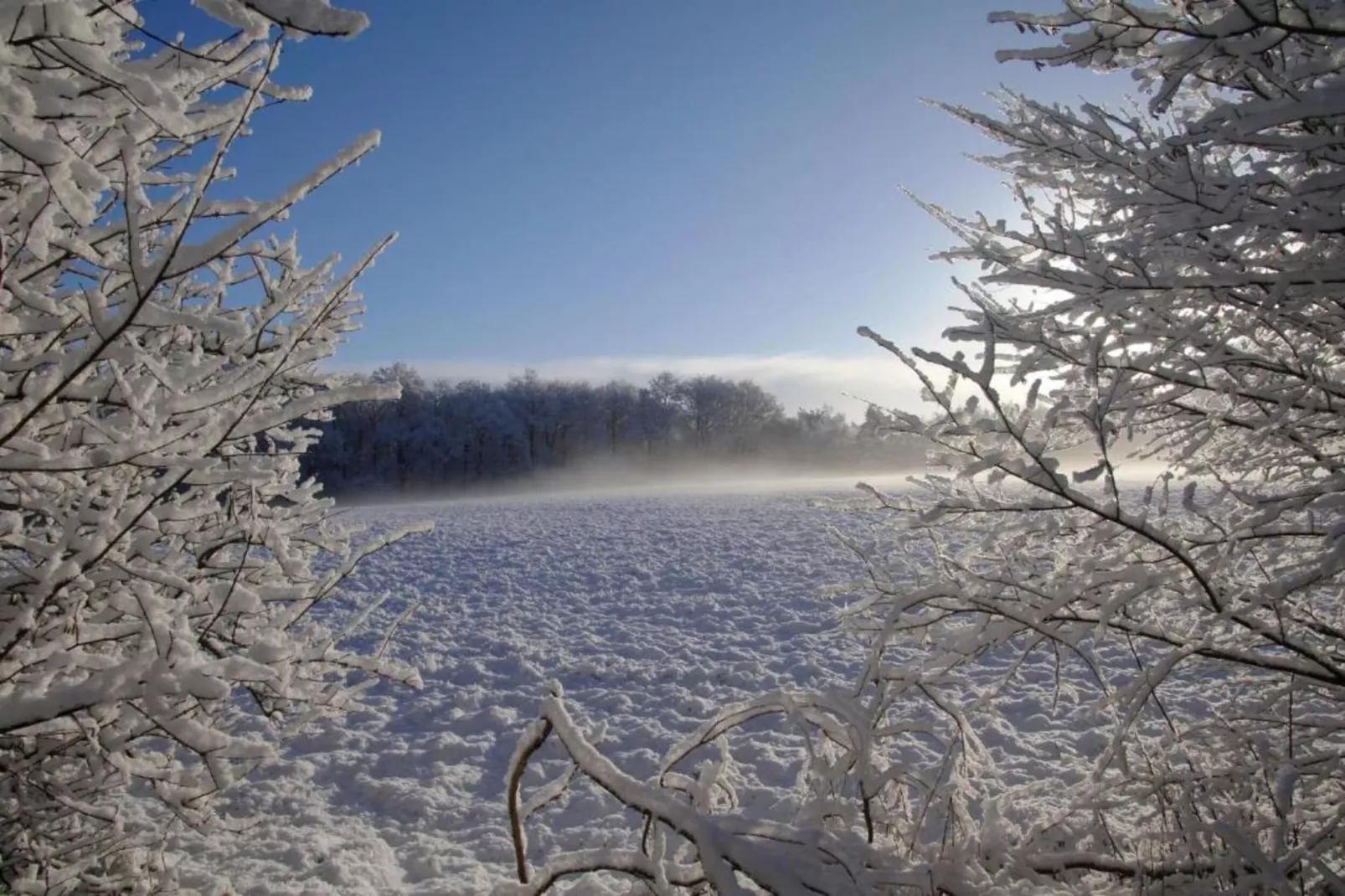 Residence De Eese 1-Area within 20km in winter