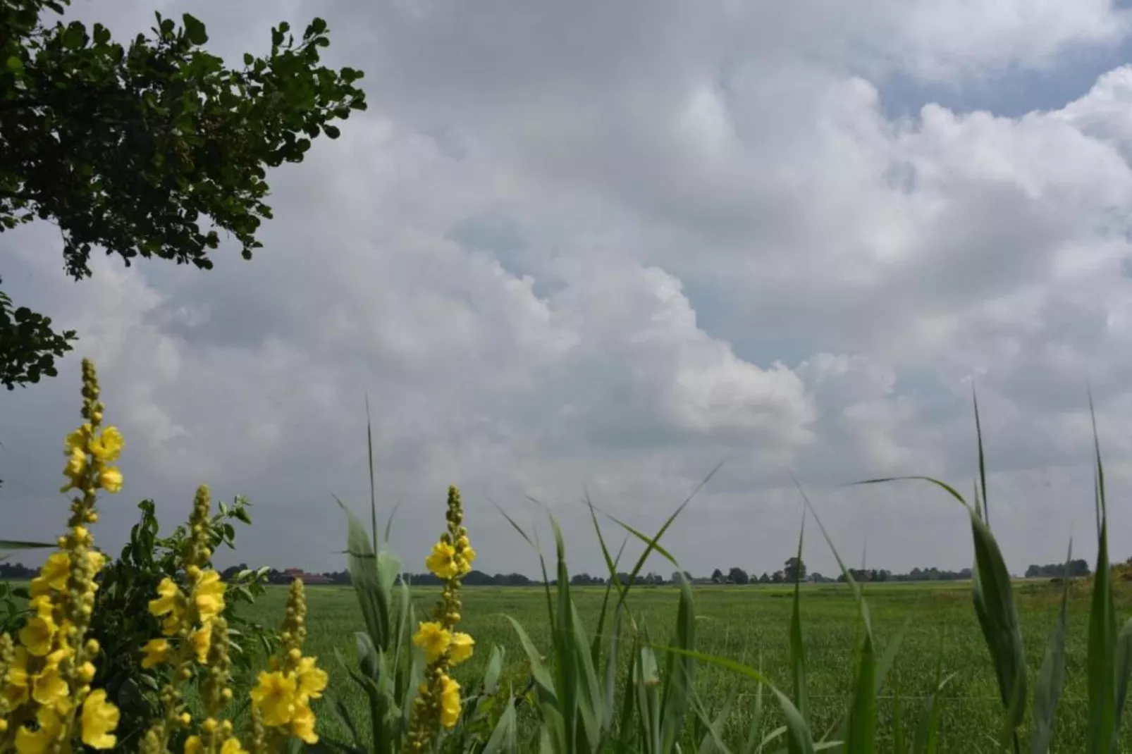 Friese Meren Villa's 7-Areas within 20km in summer