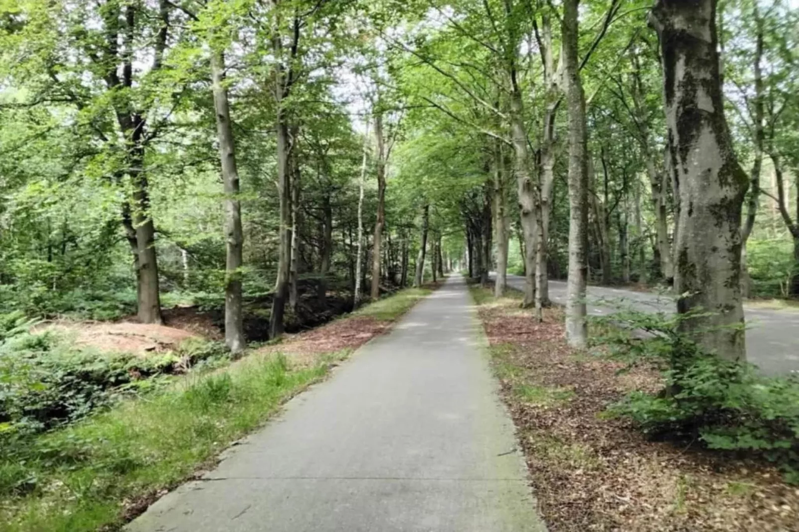 Lyts Sypenstien-Areas within 5km in summer