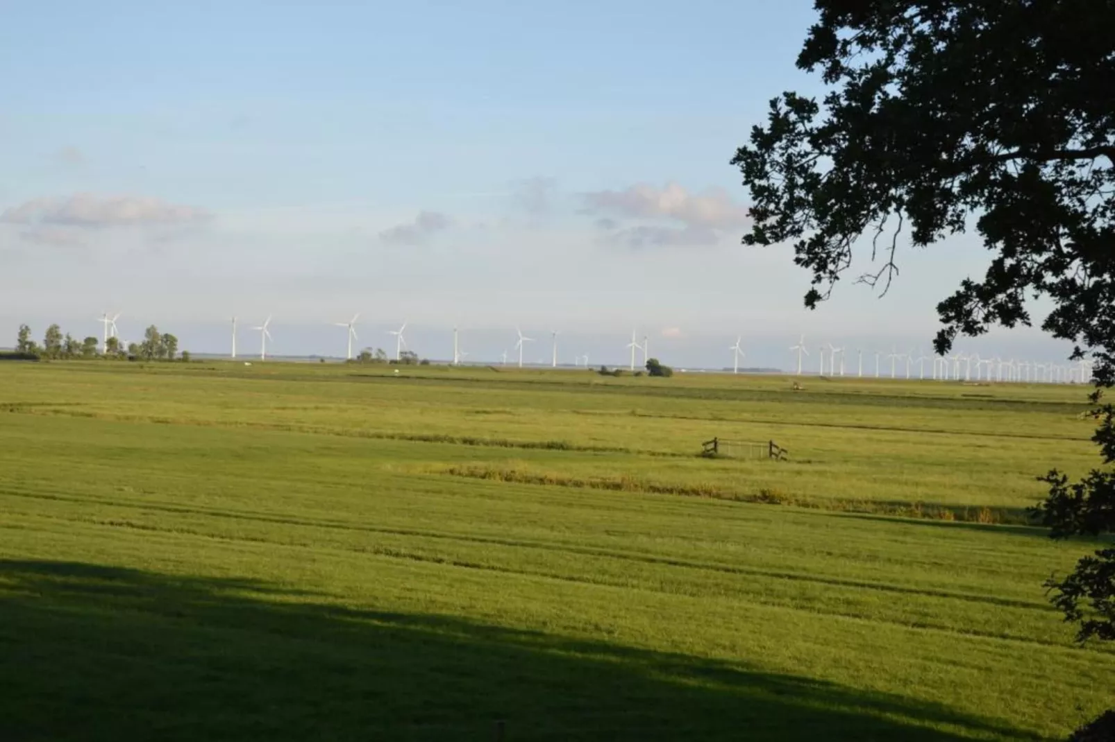 De Meerkoet-Areas within 5km in summer