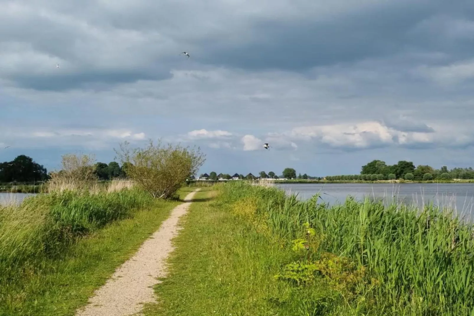 Paviljoenwei 10  Offingawier 'Mar'-Areas within 5km in summer