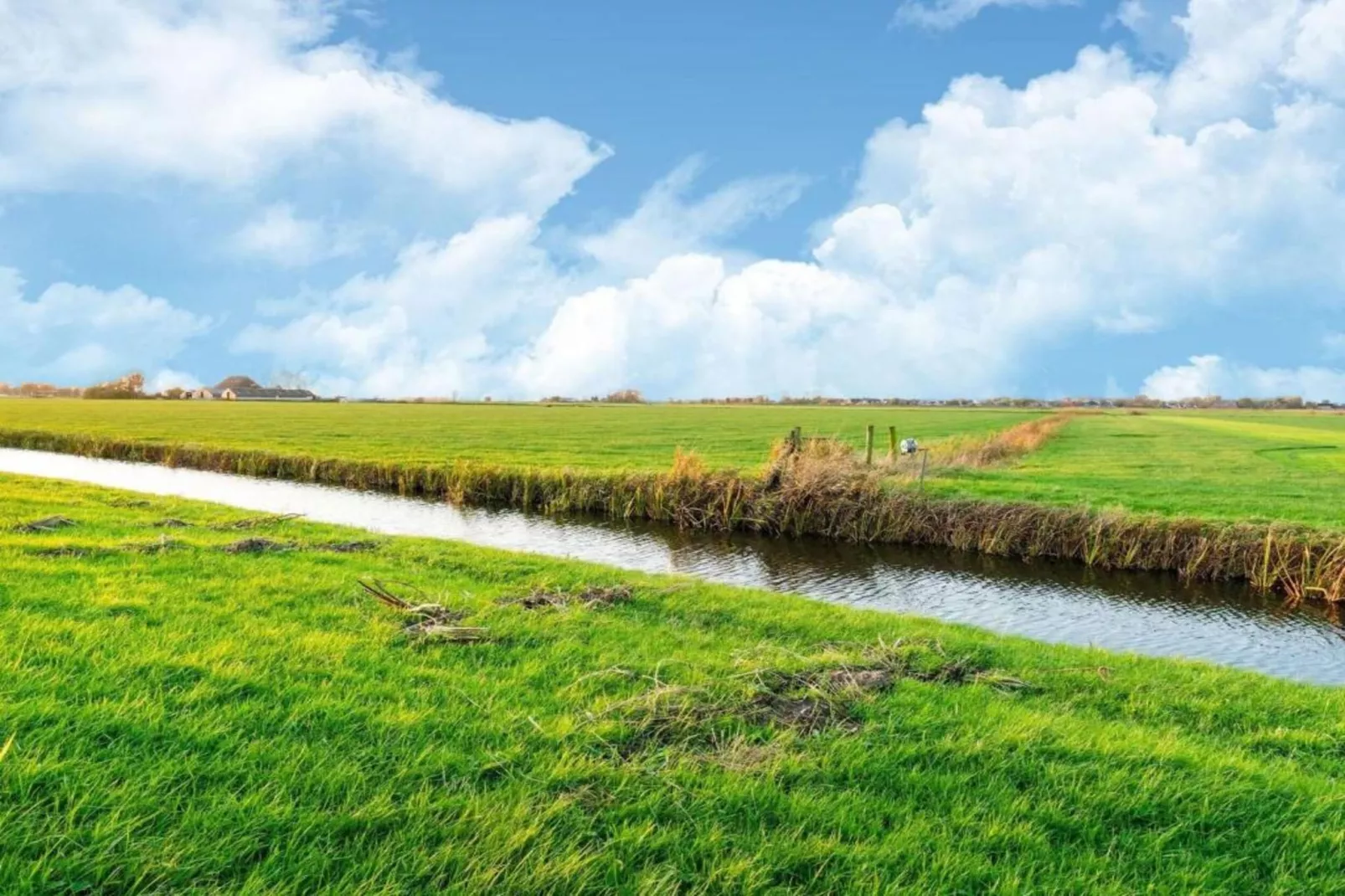 Pronkkeamer Skrins-Gebiete Sommer 5 km