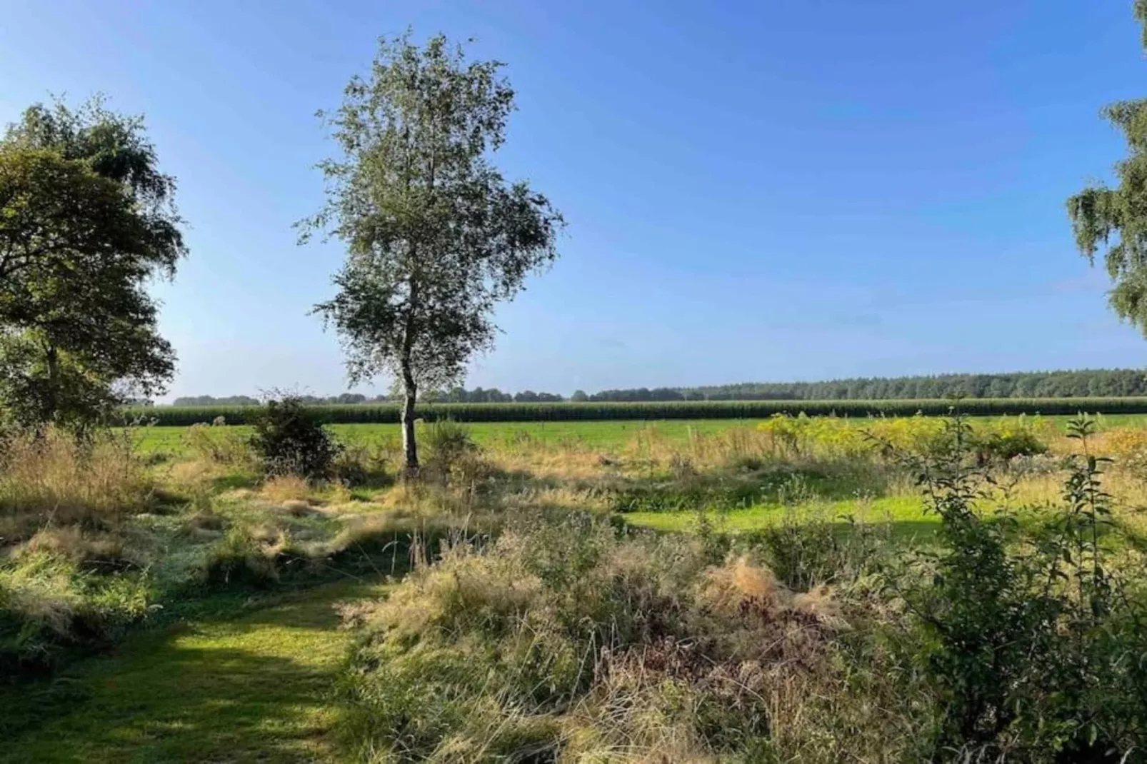 Vakantiepark Hunzedal 4-Zones été à 20 km
