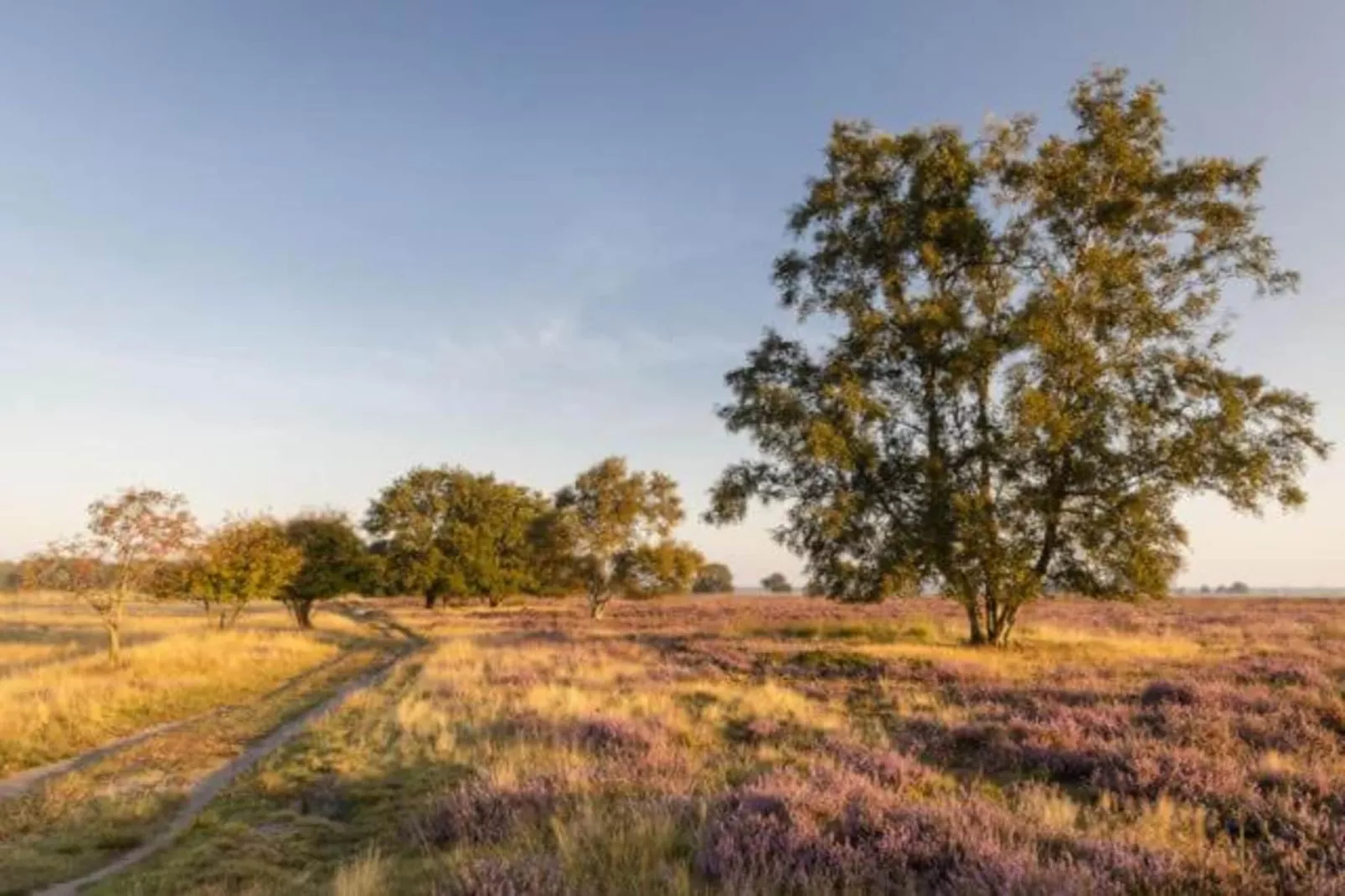 Bospark Lunsbergen 2-Areas within 20km in summer