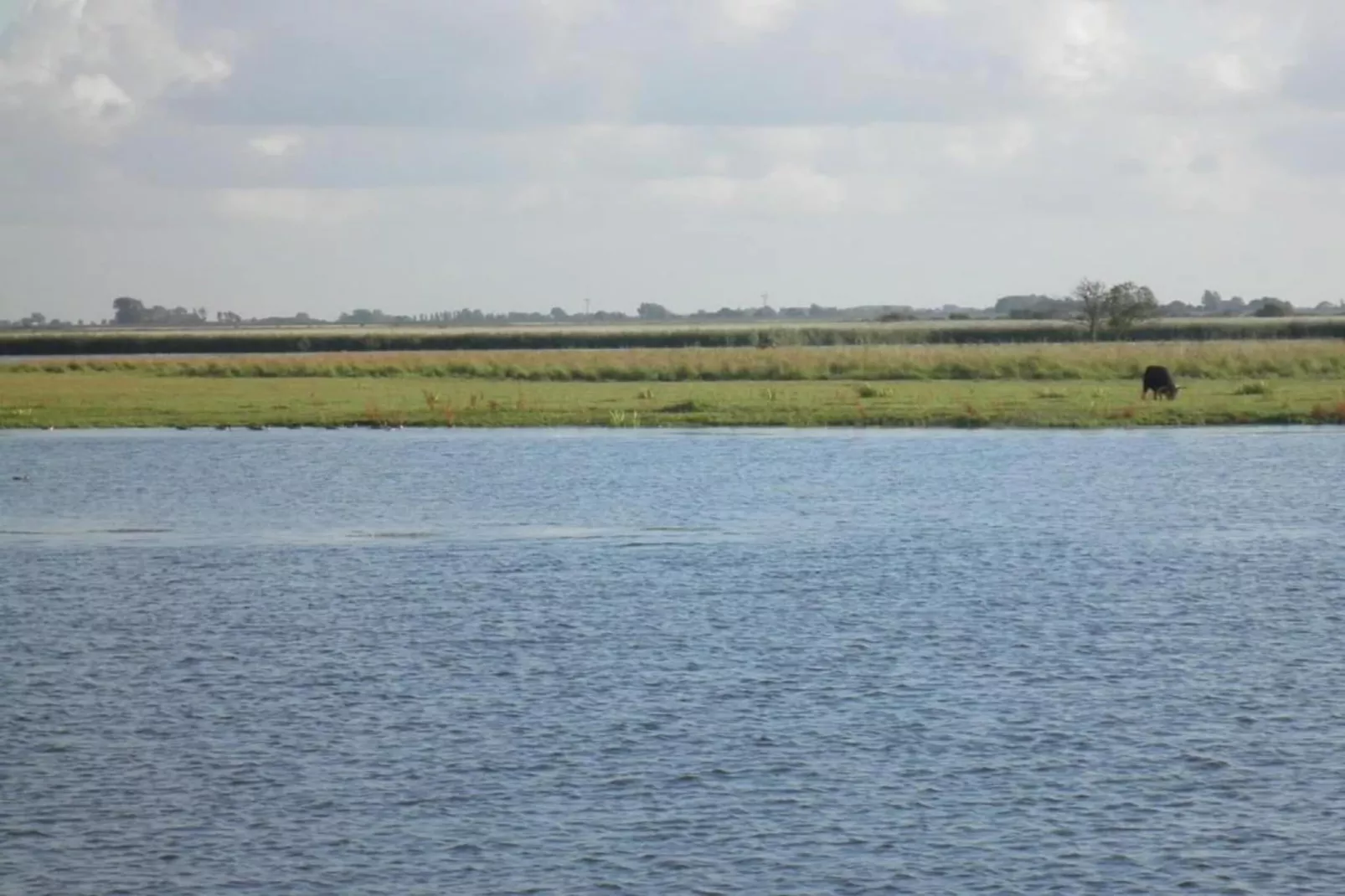 De Scholekster-Areas within 5km in summer