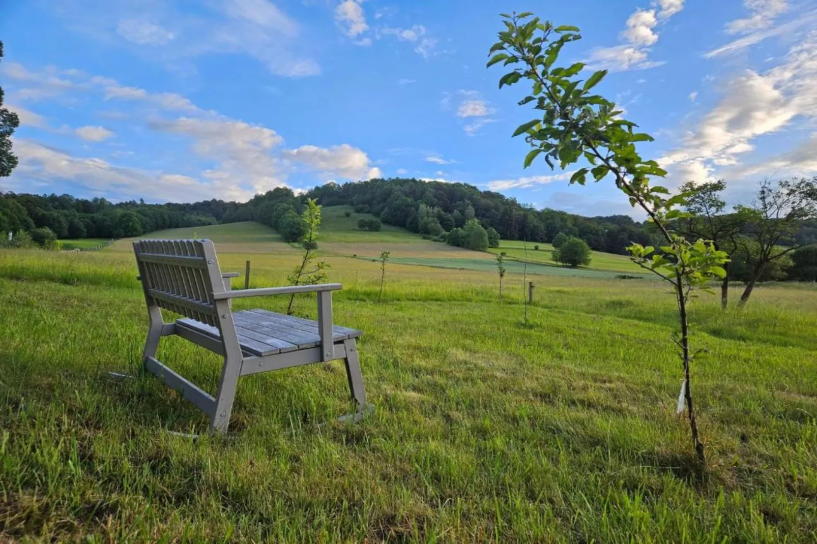 Dolina Bobru-Areas within 5km in summer