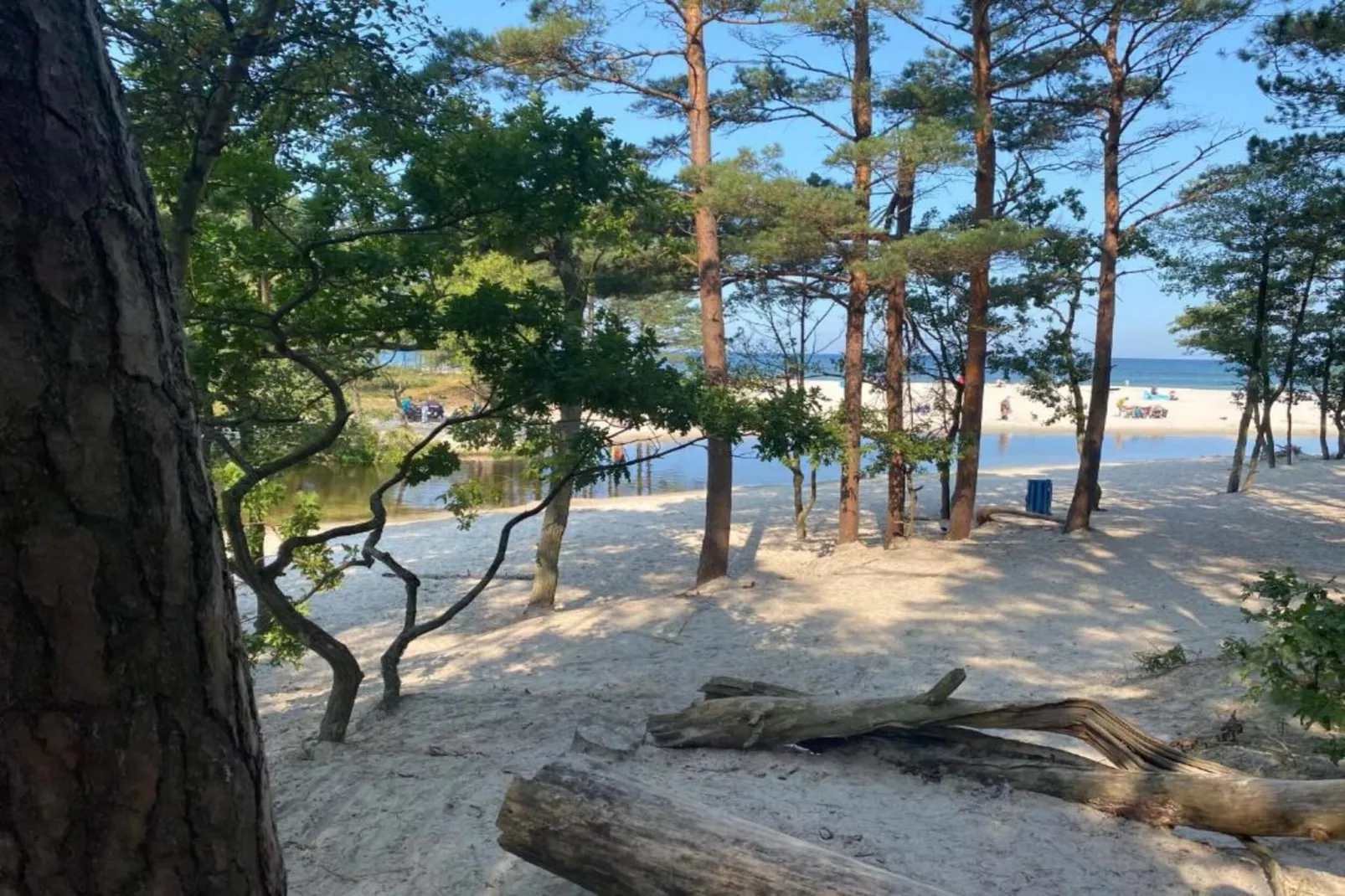 House among beautiful forests-Areas within 5km in summer