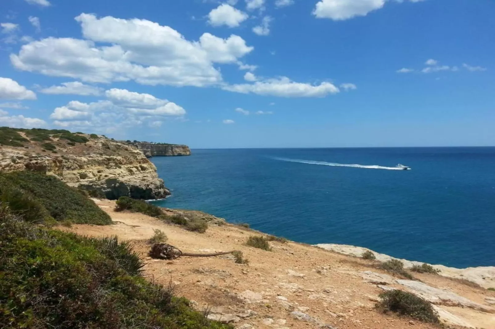 Montanha Vista-Areas within 20km in summer