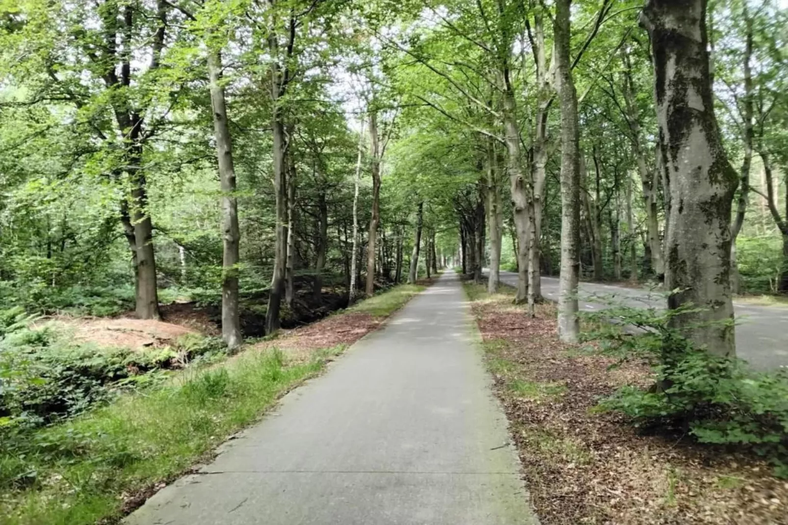 Recreatiepark Idskenhuizen 9-Areas within 20km in summer