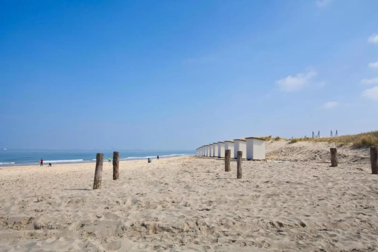 Vakantiepark Zeebad 16 - Areas within 5km in summer