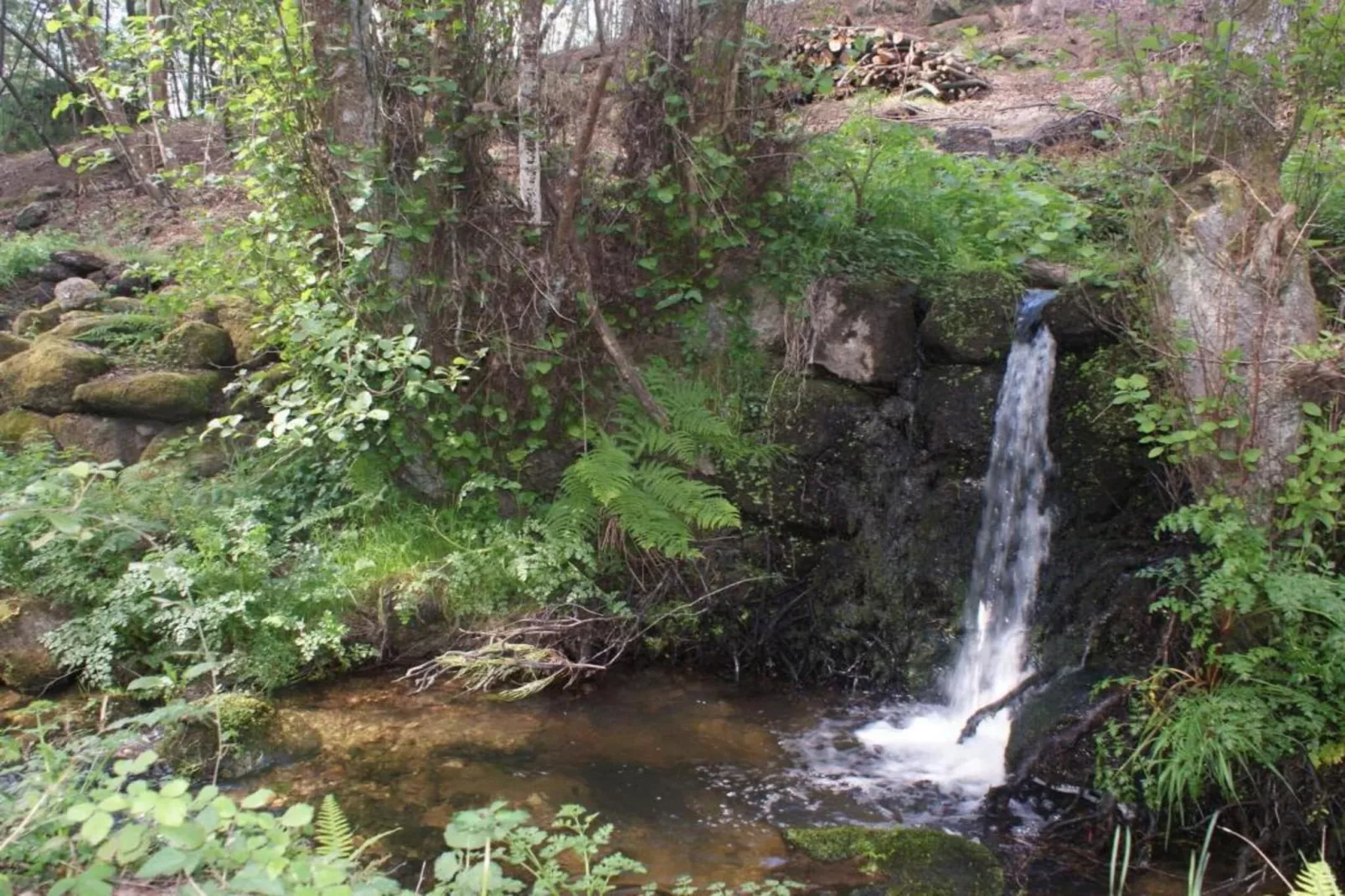 Casa Oliveirinha-Areas within 20km in summer