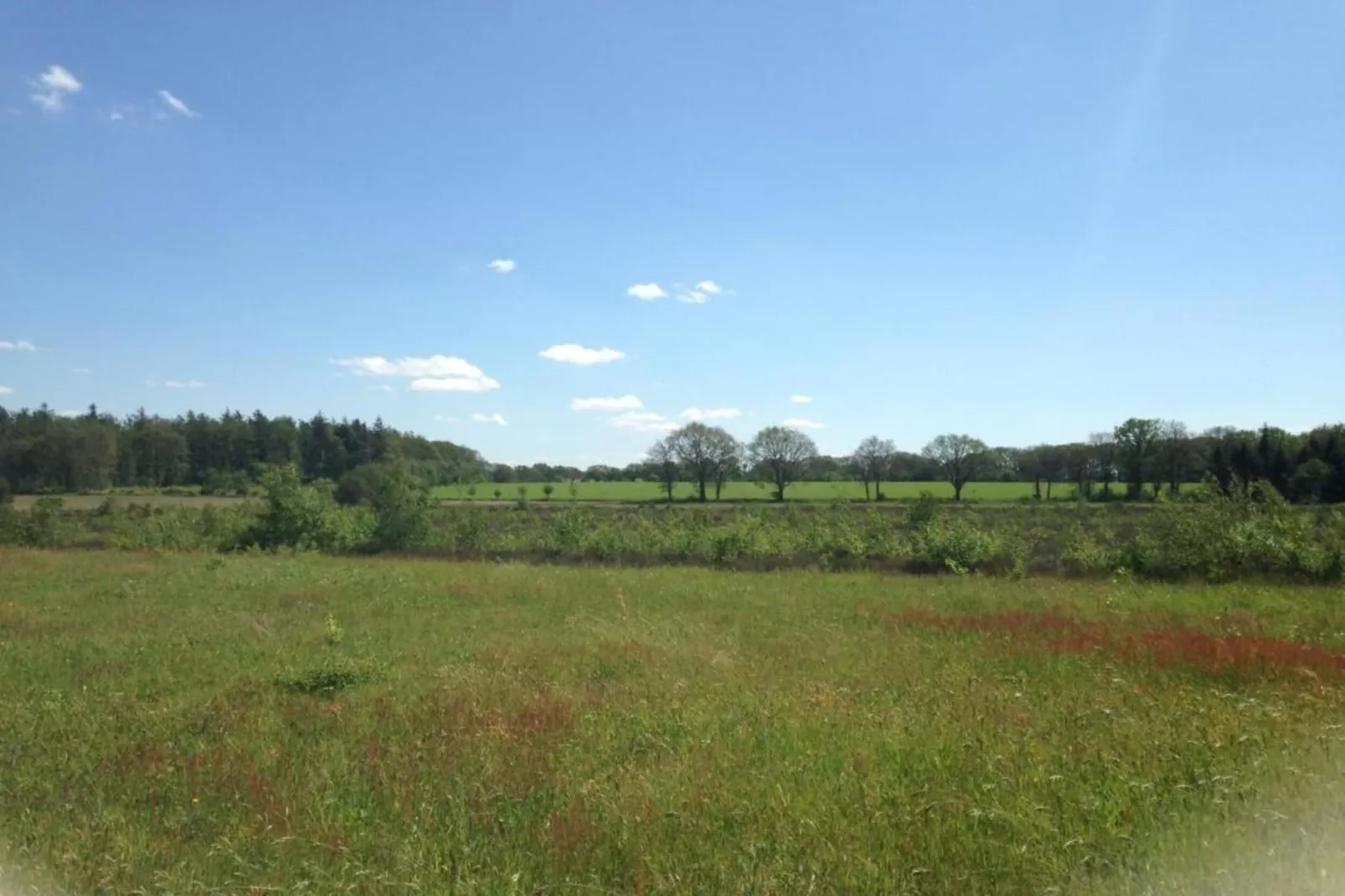 Acker Lodges 1-Areas within 20km in summer