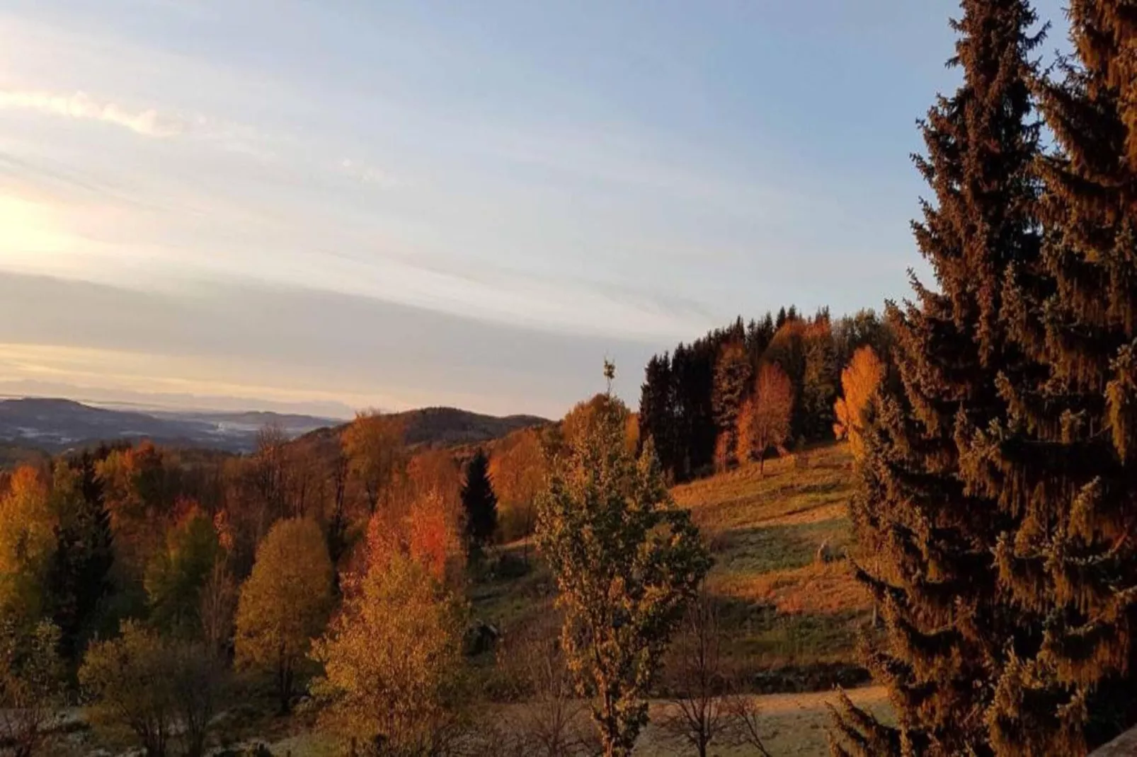Holiday flats Haus am Wald Zenting-Wohnung für 4 Personen 56 qm-Areas within 20km in summer