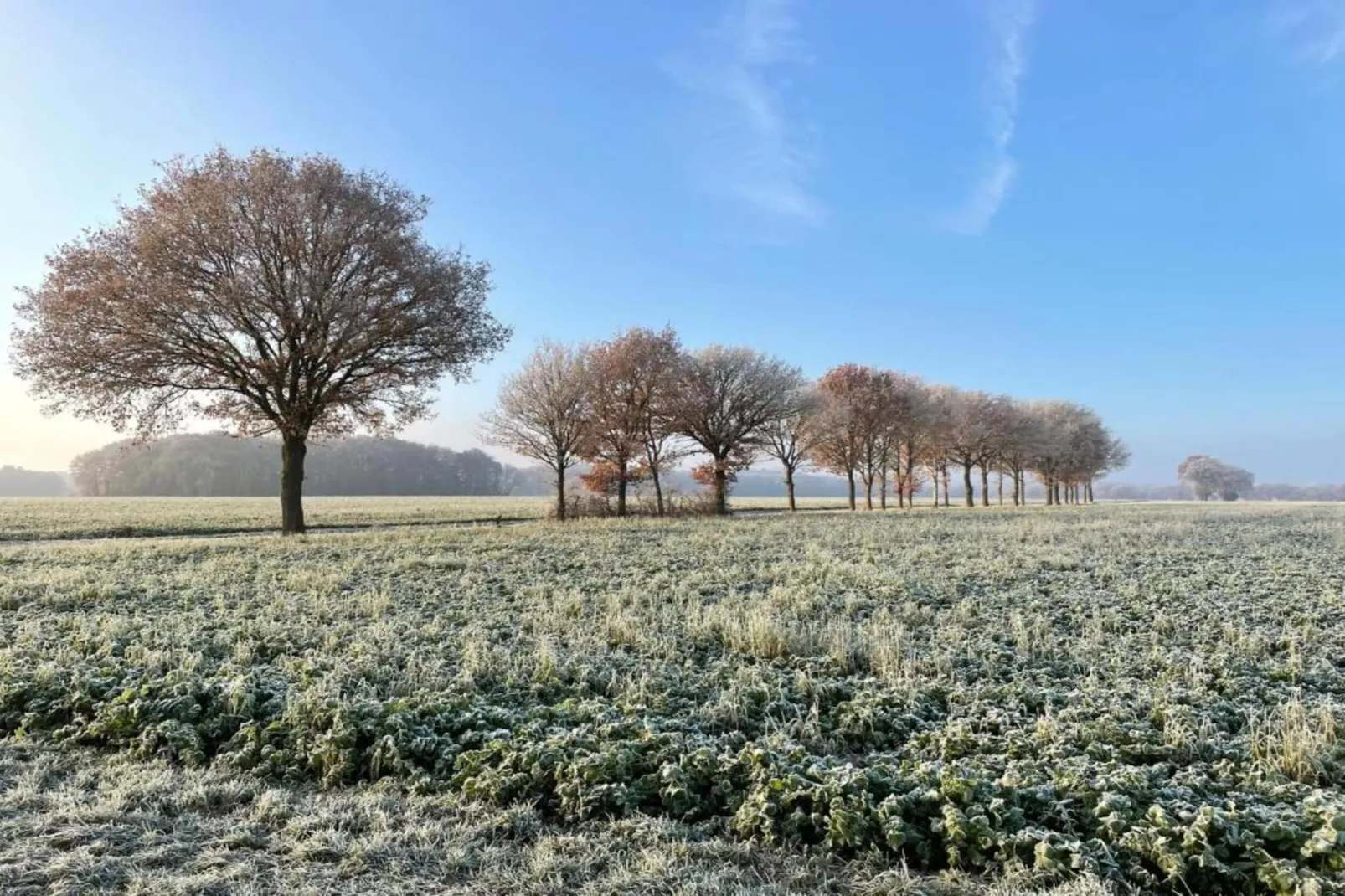 Glamping Resort Lauwersmeer 3-Areas within 20km in summer