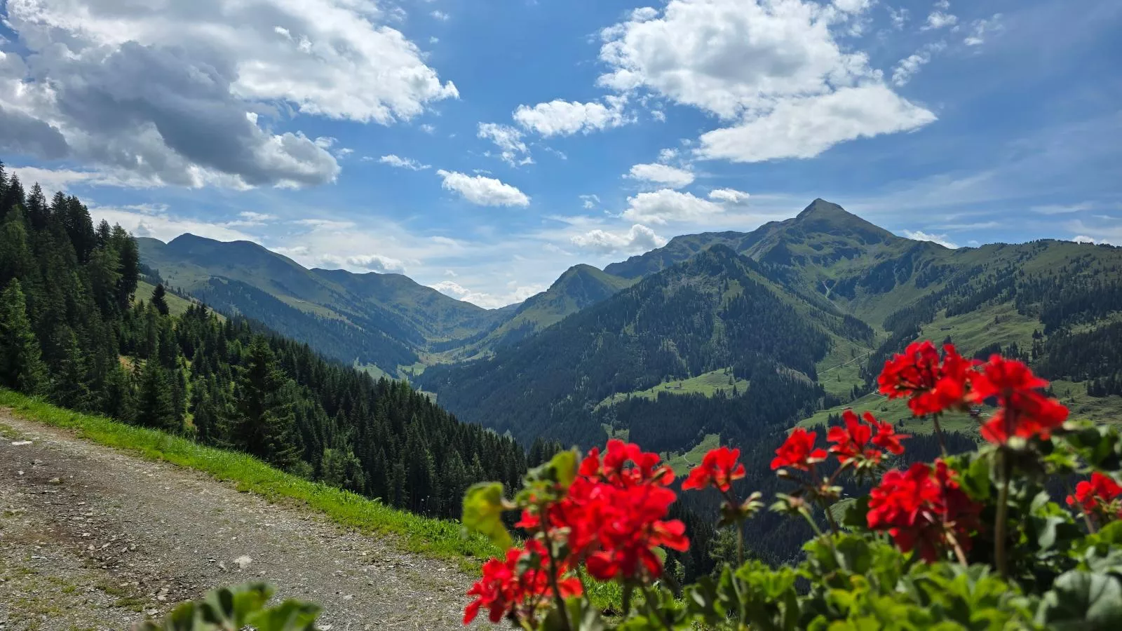 EAGGA-Niederleger Alm-Vue d'été