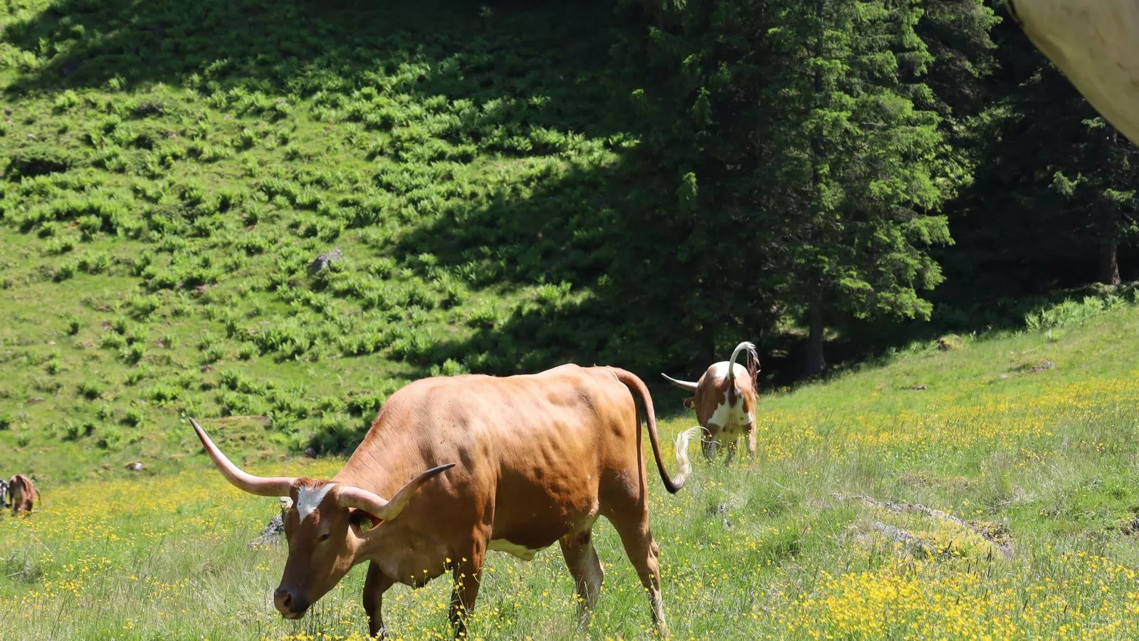 Haus Hestia-Areas within 5km in summer