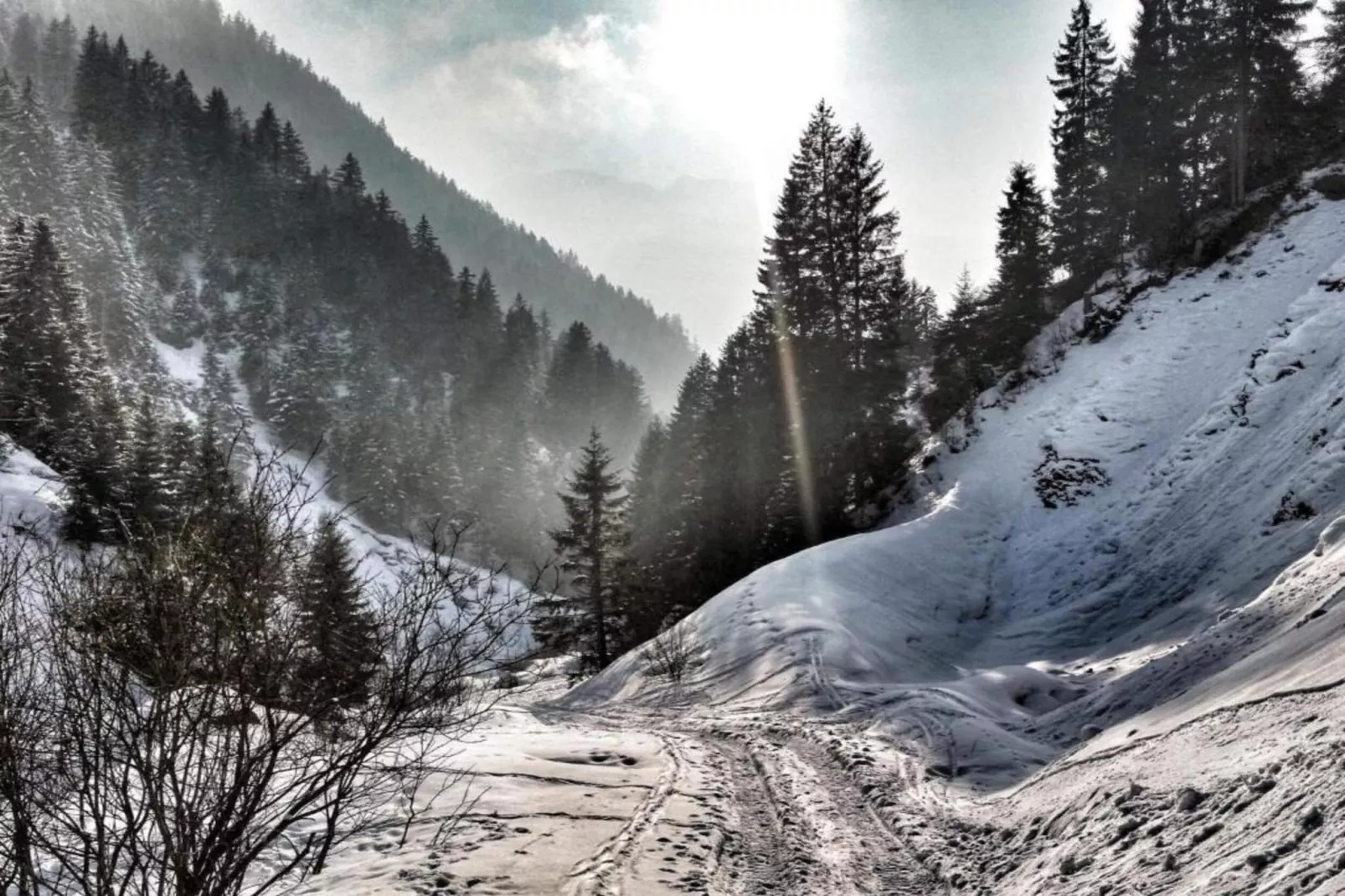 Luxurious Montafon Chalet S 2-Area within 20km in winter