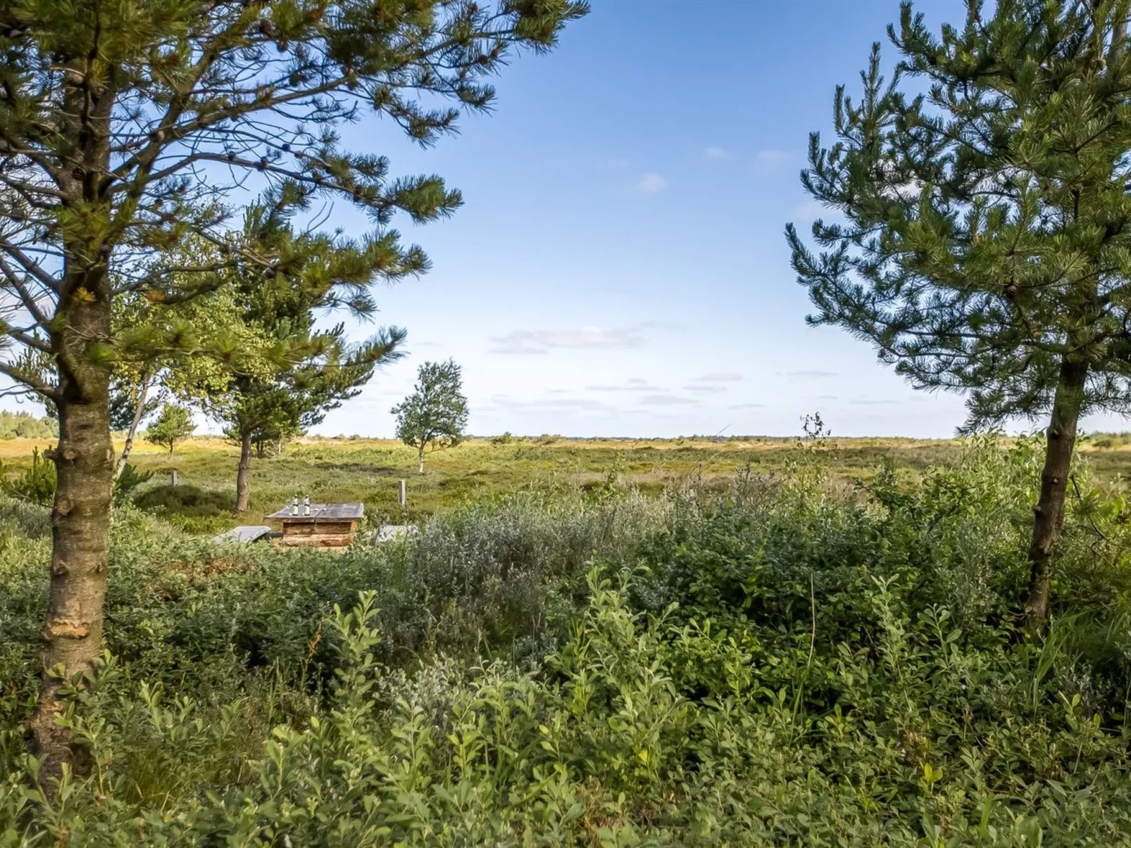 "Artan" - 2.6km from the sea-Draußen