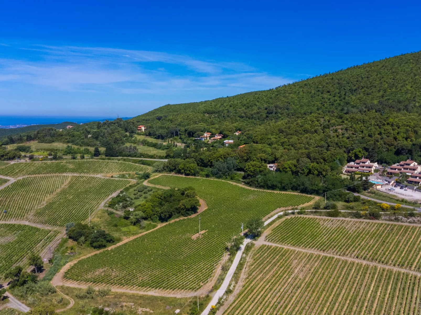 Poggio di Nocola-Draußen