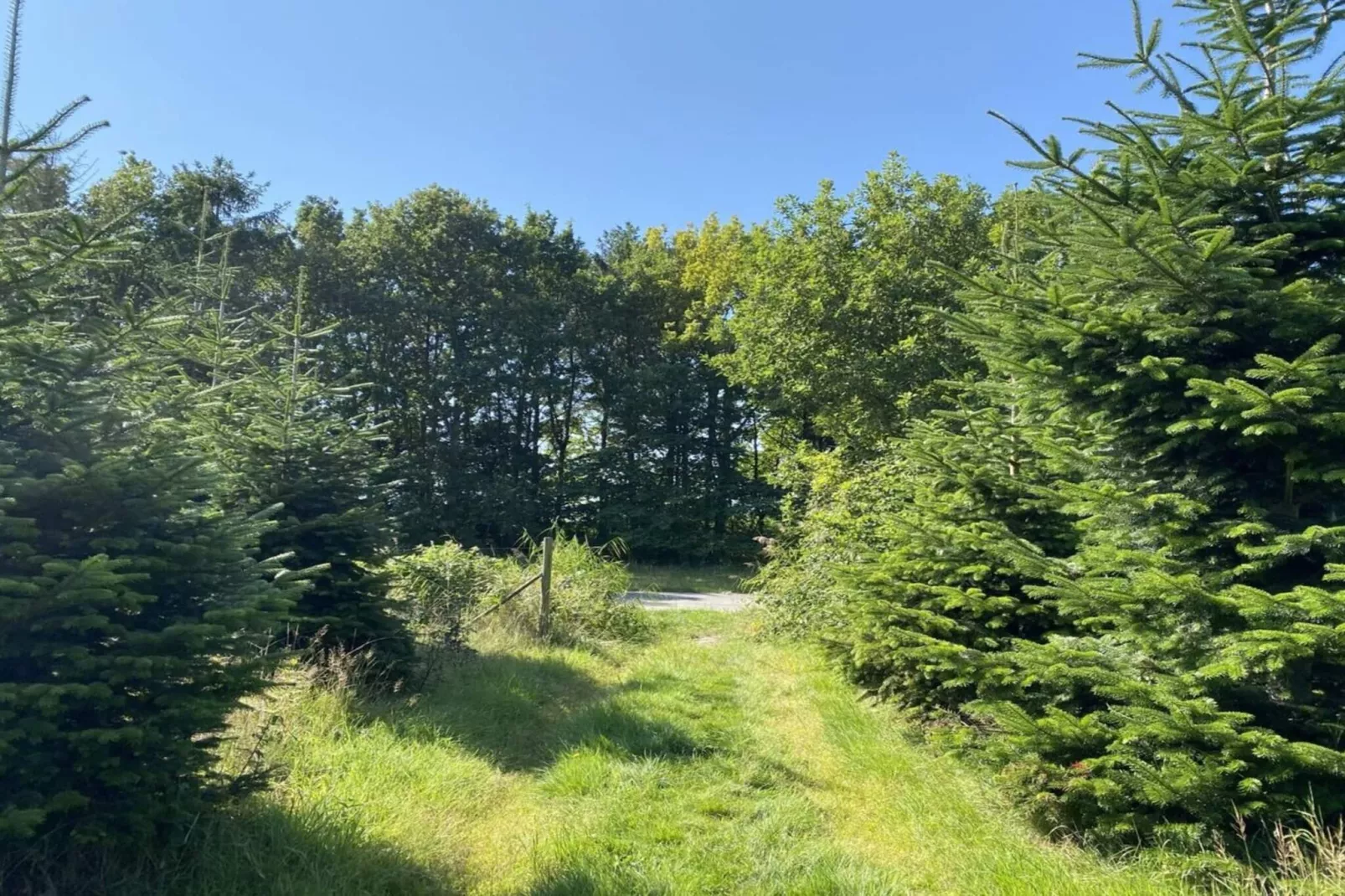 Maison de vacances pour 8 a Hadsund-By Traum-Non tagué