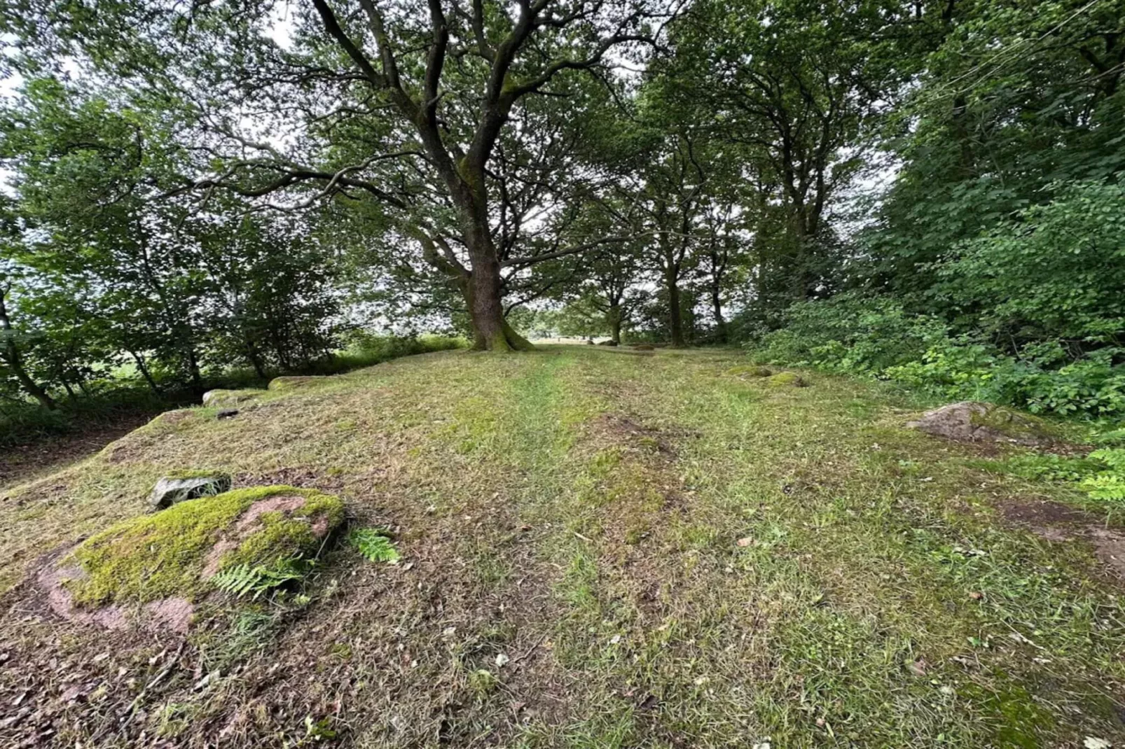 4 person holiday home in Hovborg-By Traum