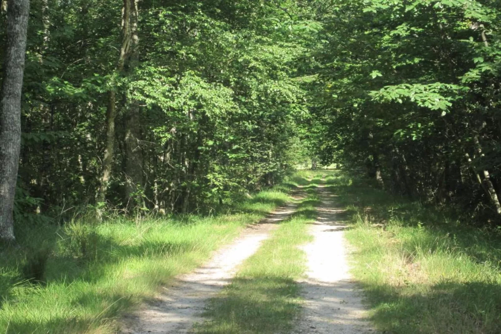 Le Vieux Chene-Gebiete Sommer 20 km