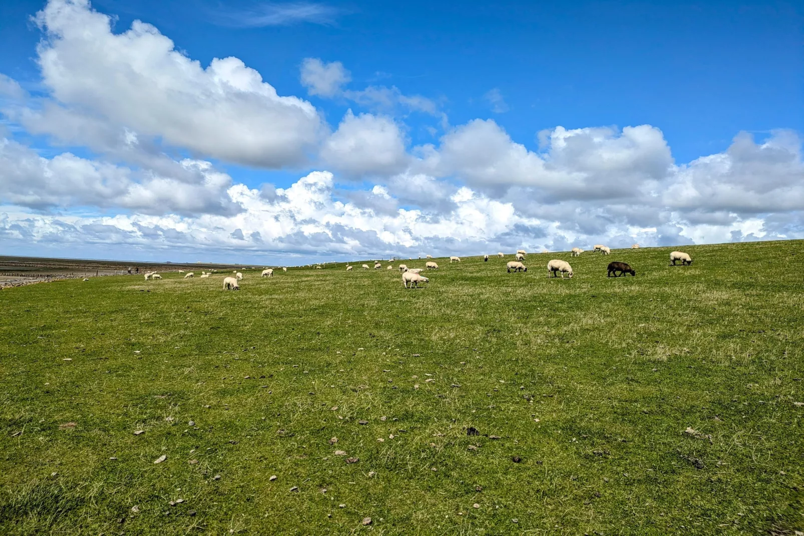 Penthouse Küstenzauber auf Nordstrand 4 Personen-Zones été à 1 km