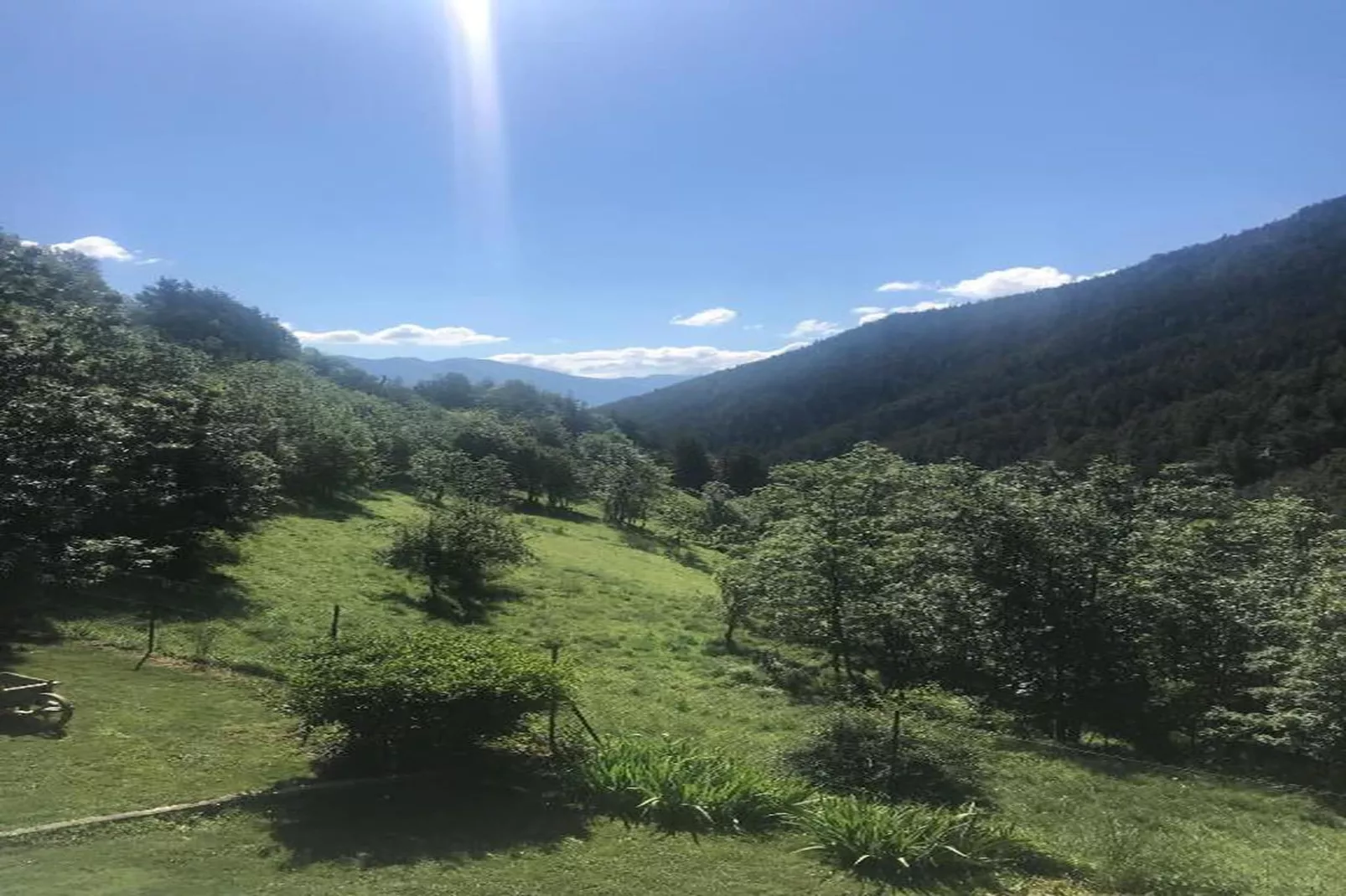 Le Mont d'Auron 3-Gebiete Sommer 20 km