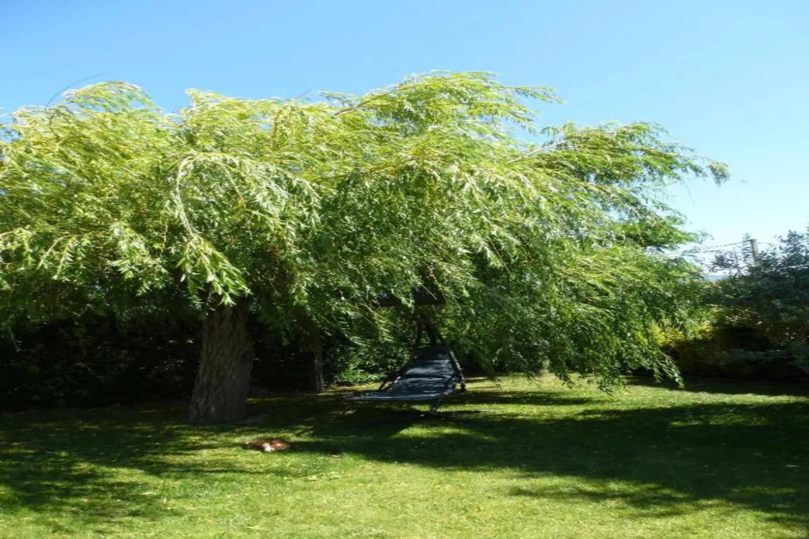Maison de vacances Le Thor-Areas within 20km in summer