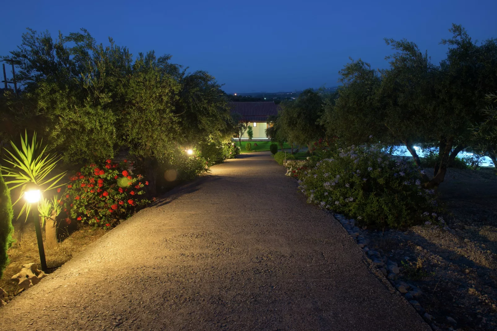 Villa Eleni en Manolis-Gardens in summer