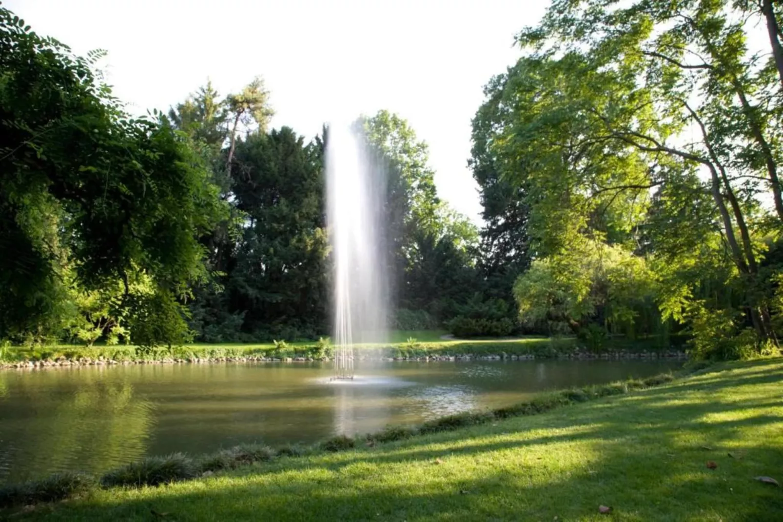 Violino Angelico 1-Areas within 20km in summer