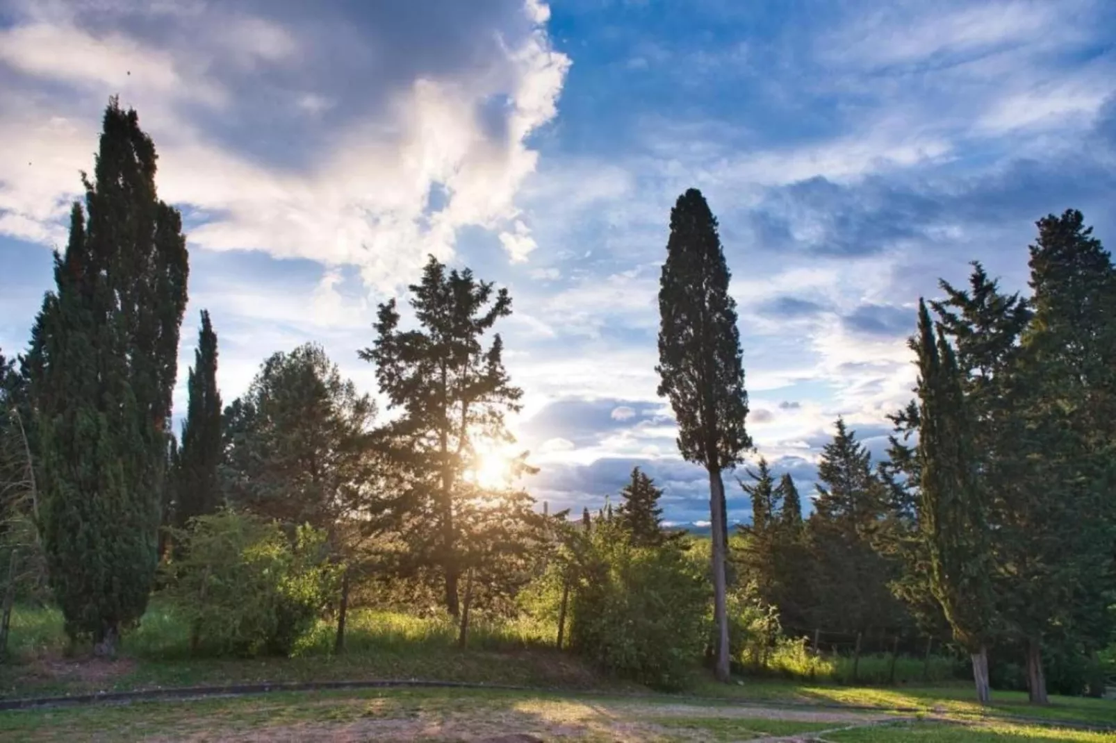 Gaville Cinque-Areas within 20km in summer