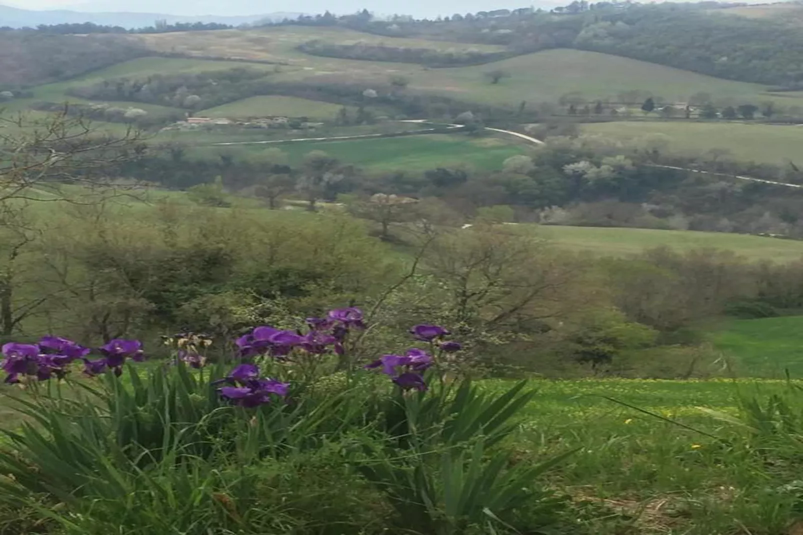 Piano Giardino-Areas within 20km in summer